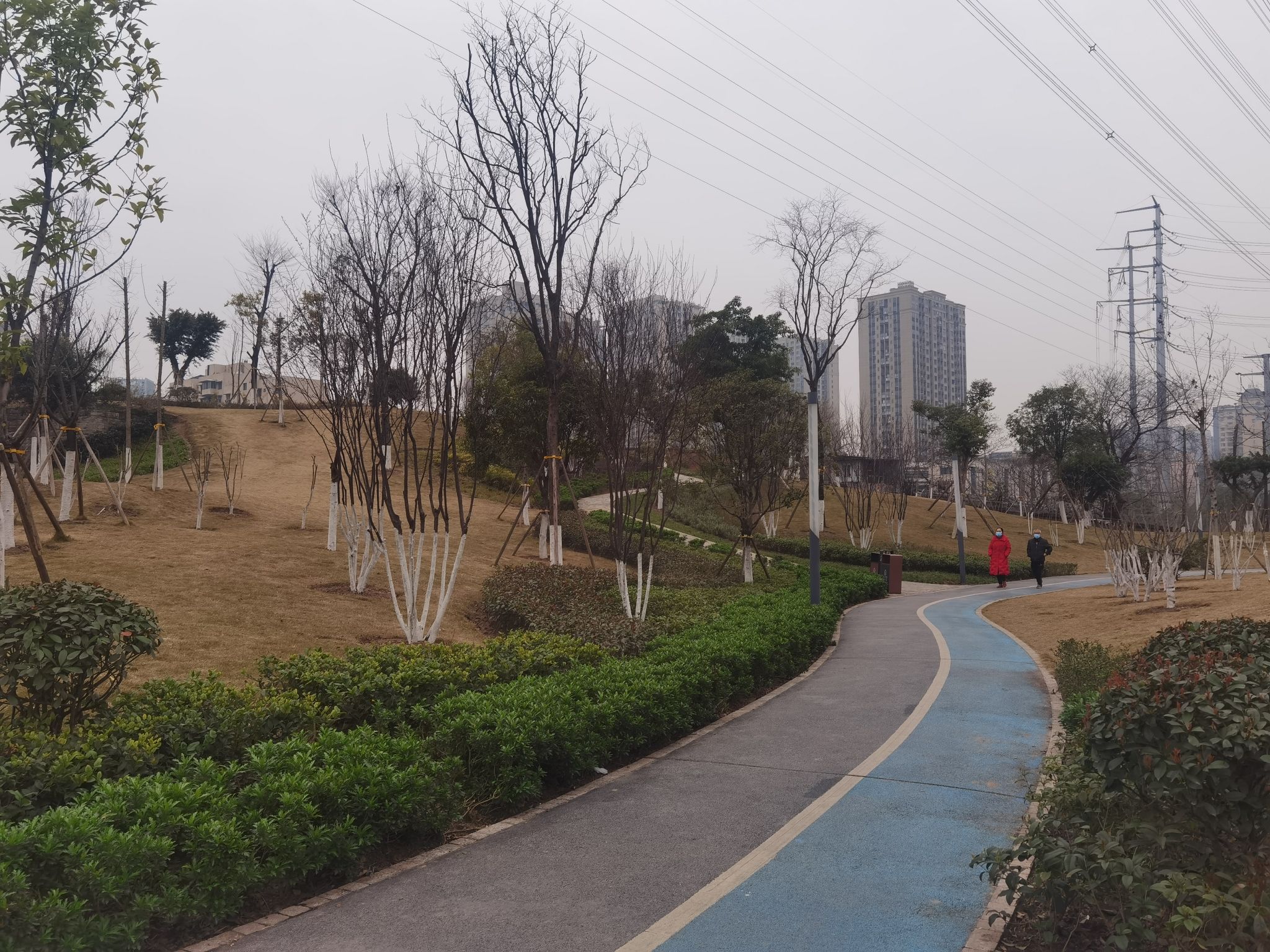 远洋香派公园旅行图片 1