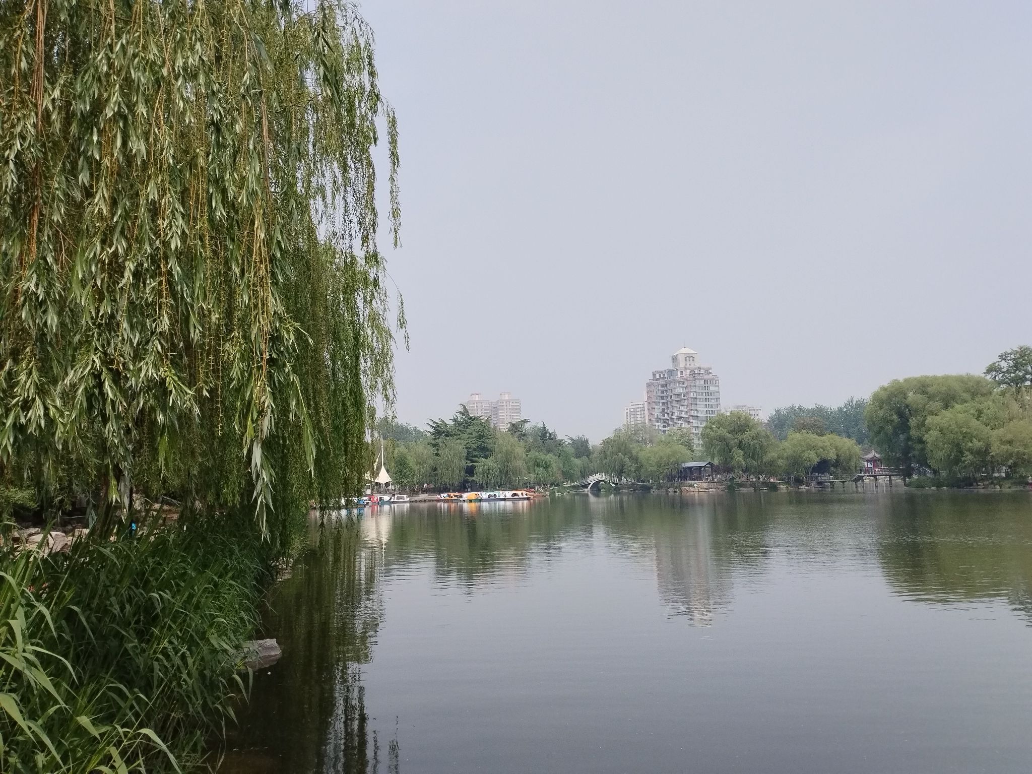 长安公园通勤口旅行图片 2