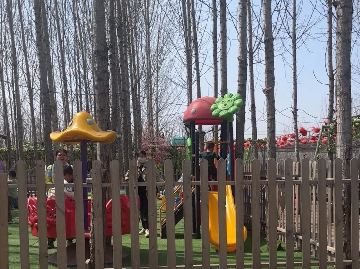 元代码头遗址公园旅行图片 1
