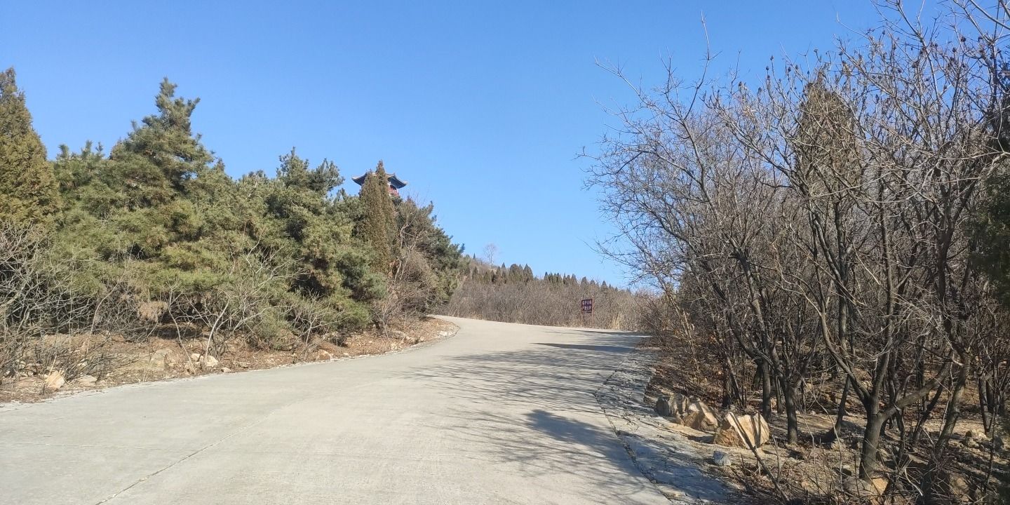 崮山公园旅行图片 3
