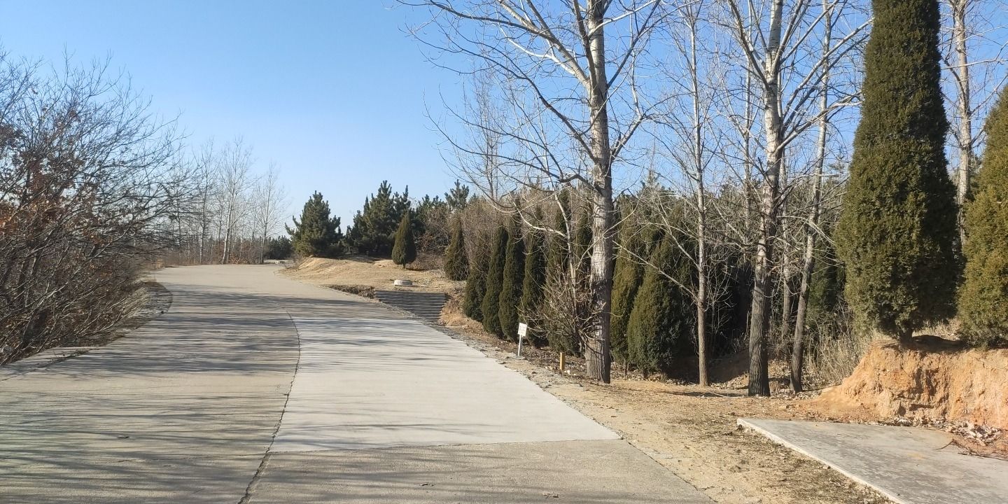 崮山公园旅行图片 1