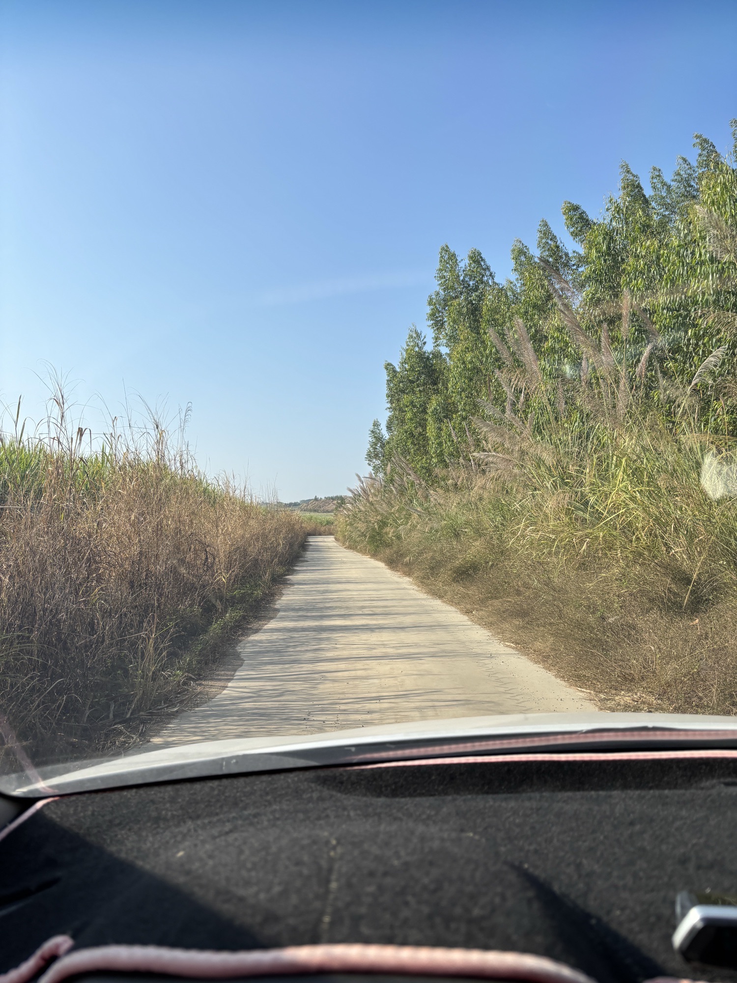 柳州版可可托海旅行图片 1