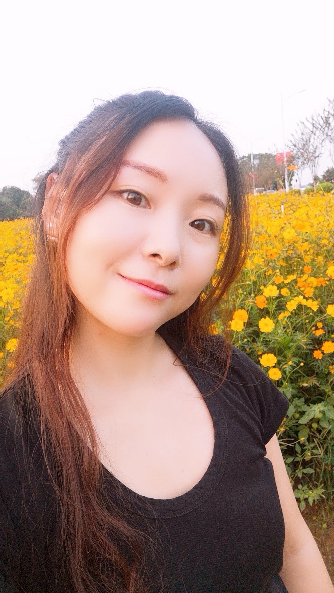 沙围村七彩花田旅行图片 2