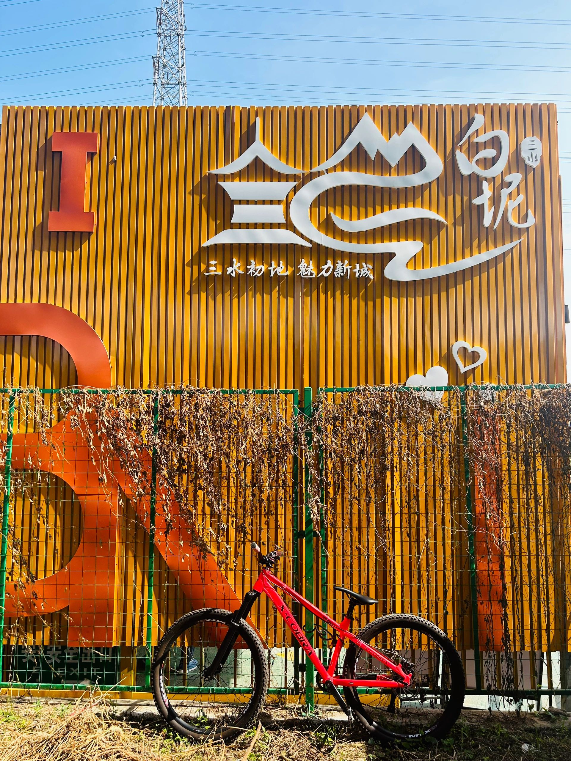 沙围村七彩花田旅行图片 3