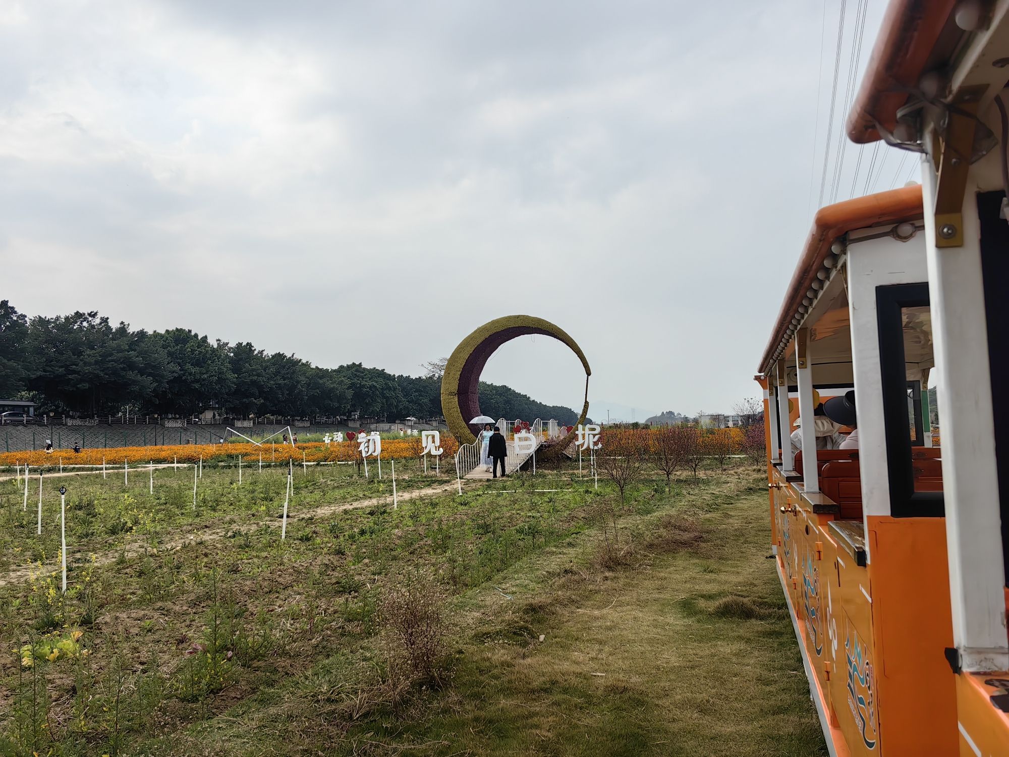 沙围村七彩花田旅行图片 3