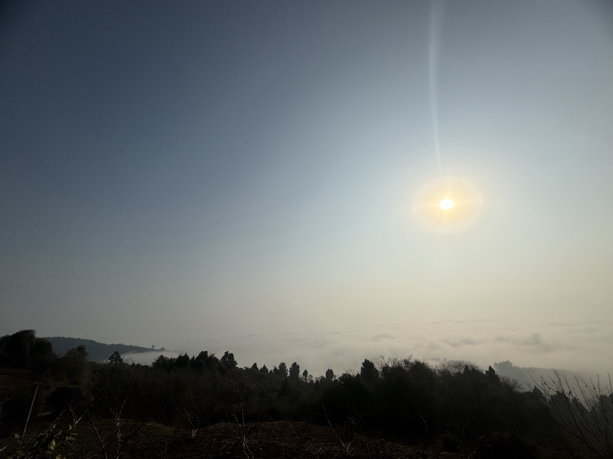 三叉观景台旅行图片 2