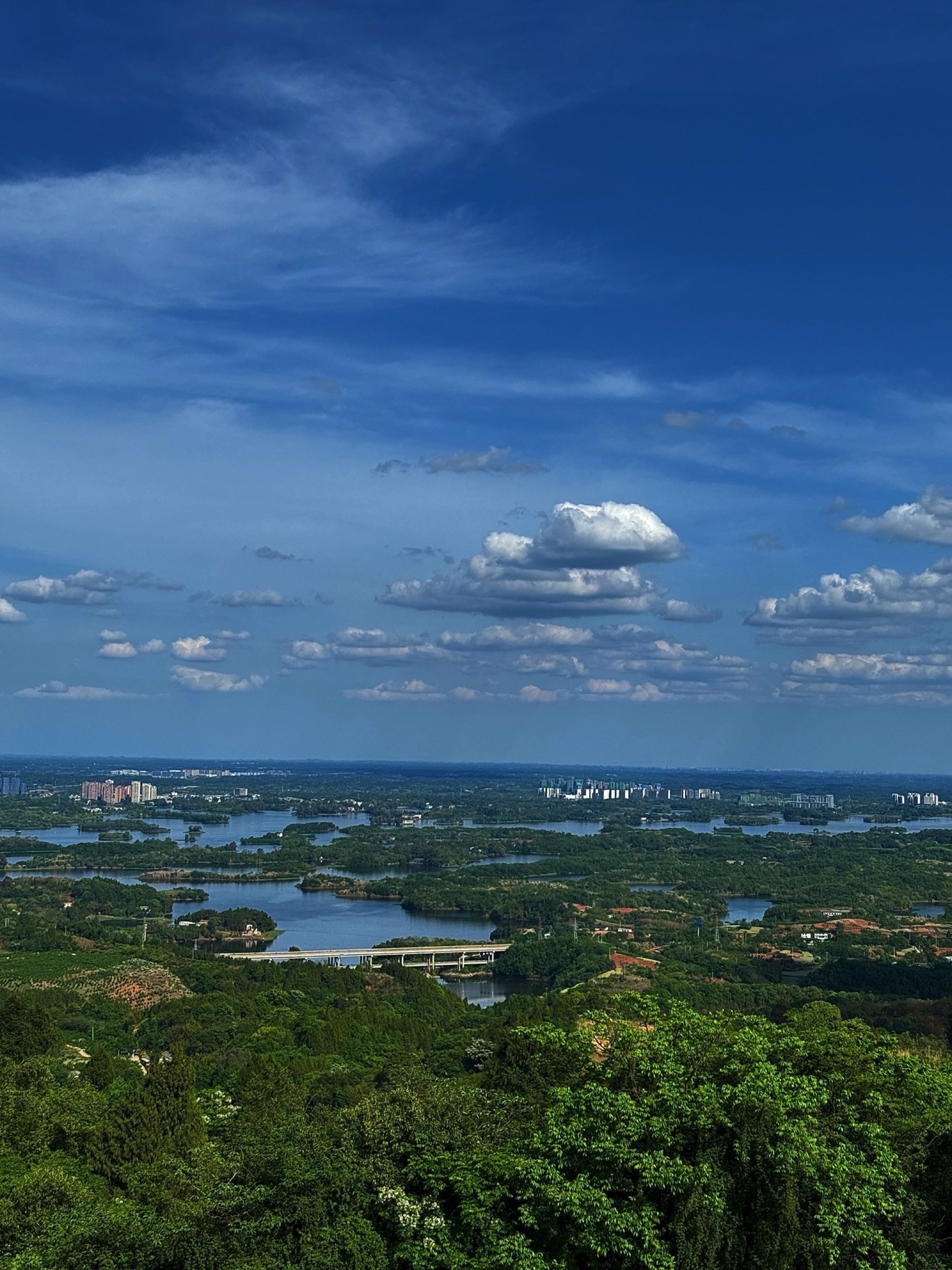 三叉观景台旅行图片 1
