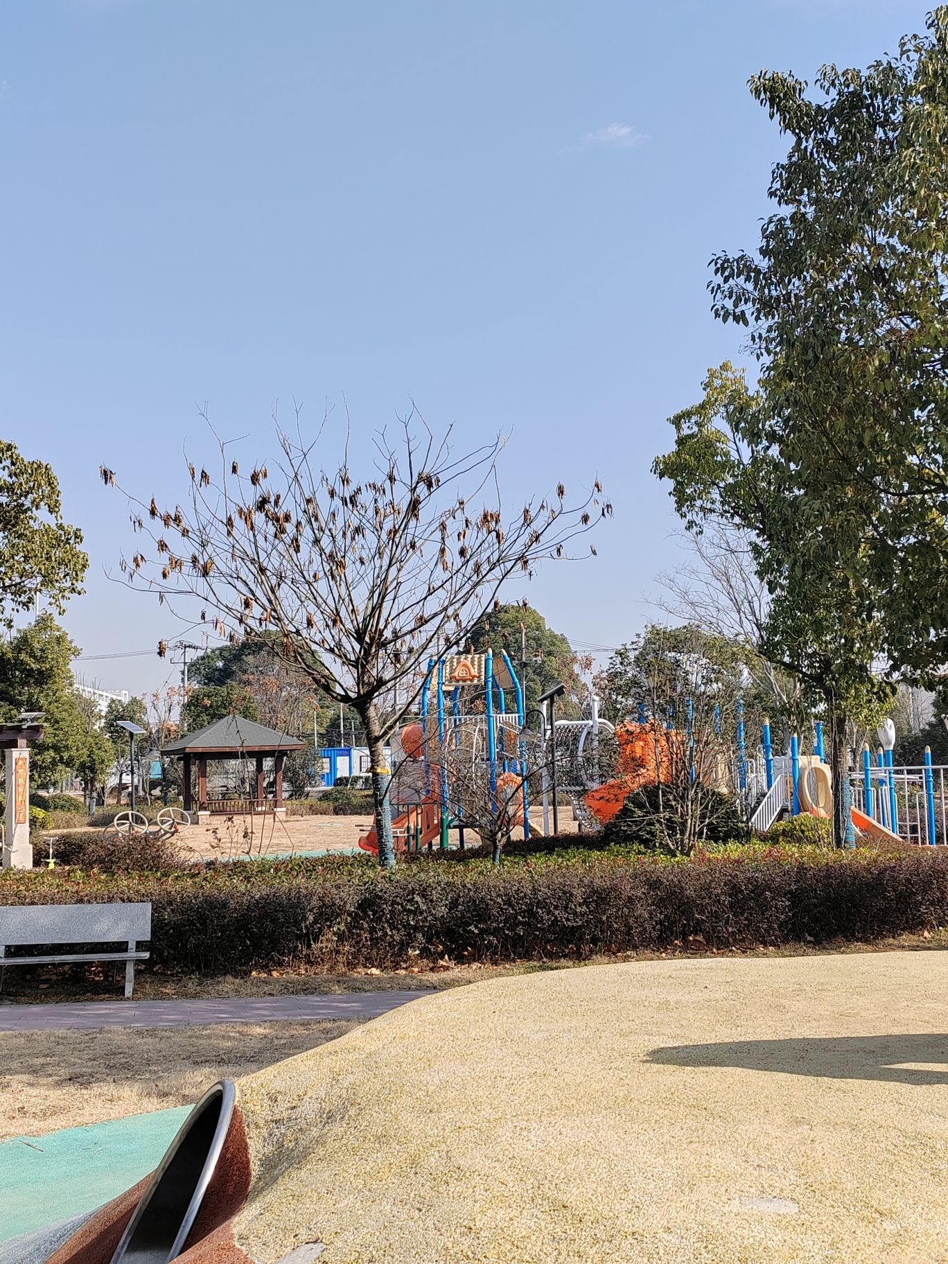 马厂公园旅行图片 1