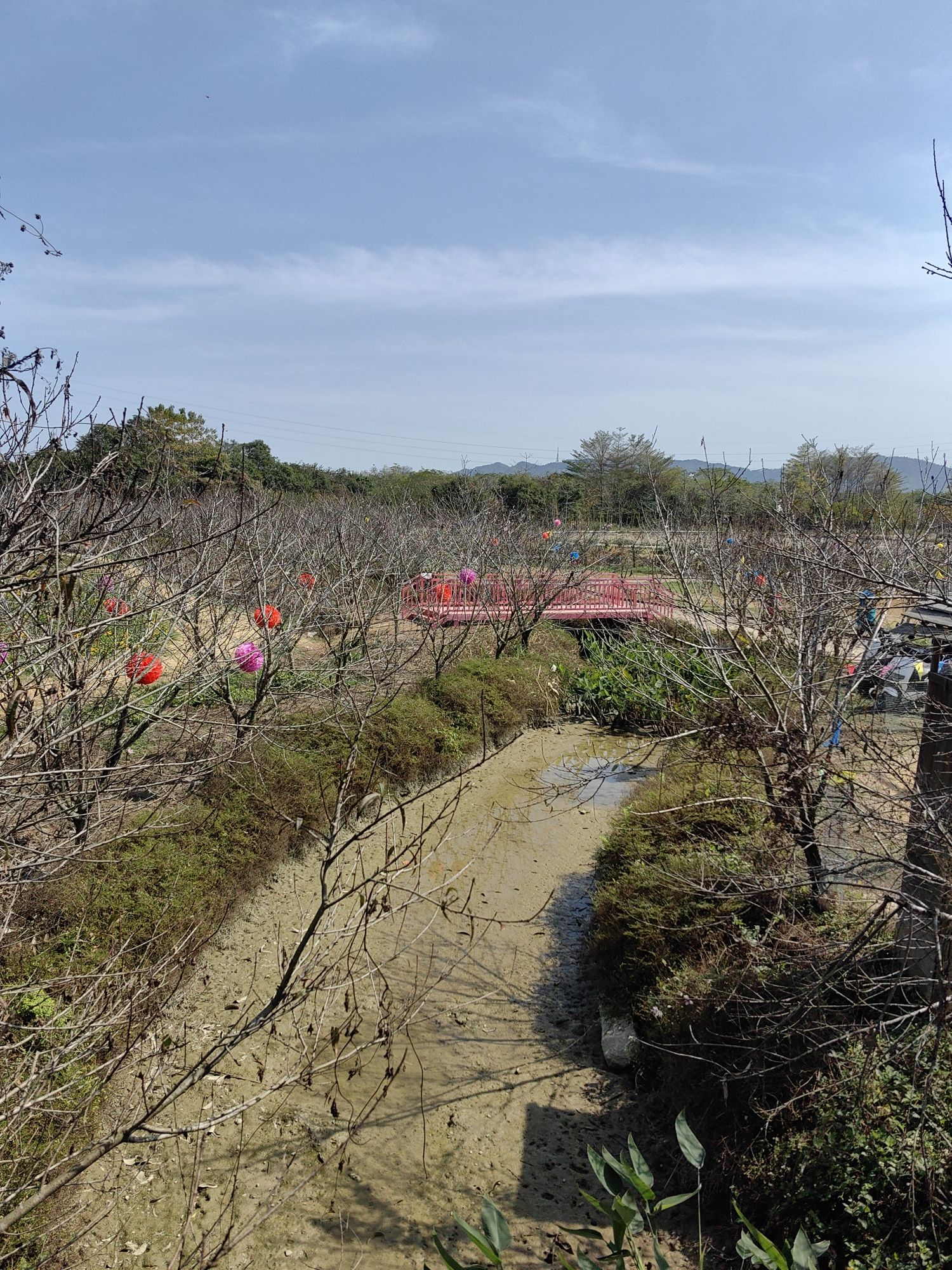 吉之旅南溪水乡·十里桃花旅行图片 3