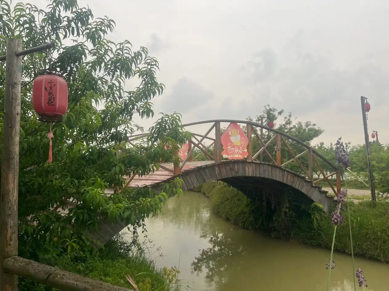 吉之旅南溪水乡·十里桃花旅行图片 2