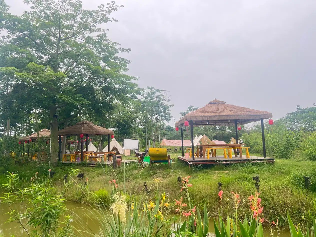 吉之旅南溪水乡·十里桃花旅行图片 3