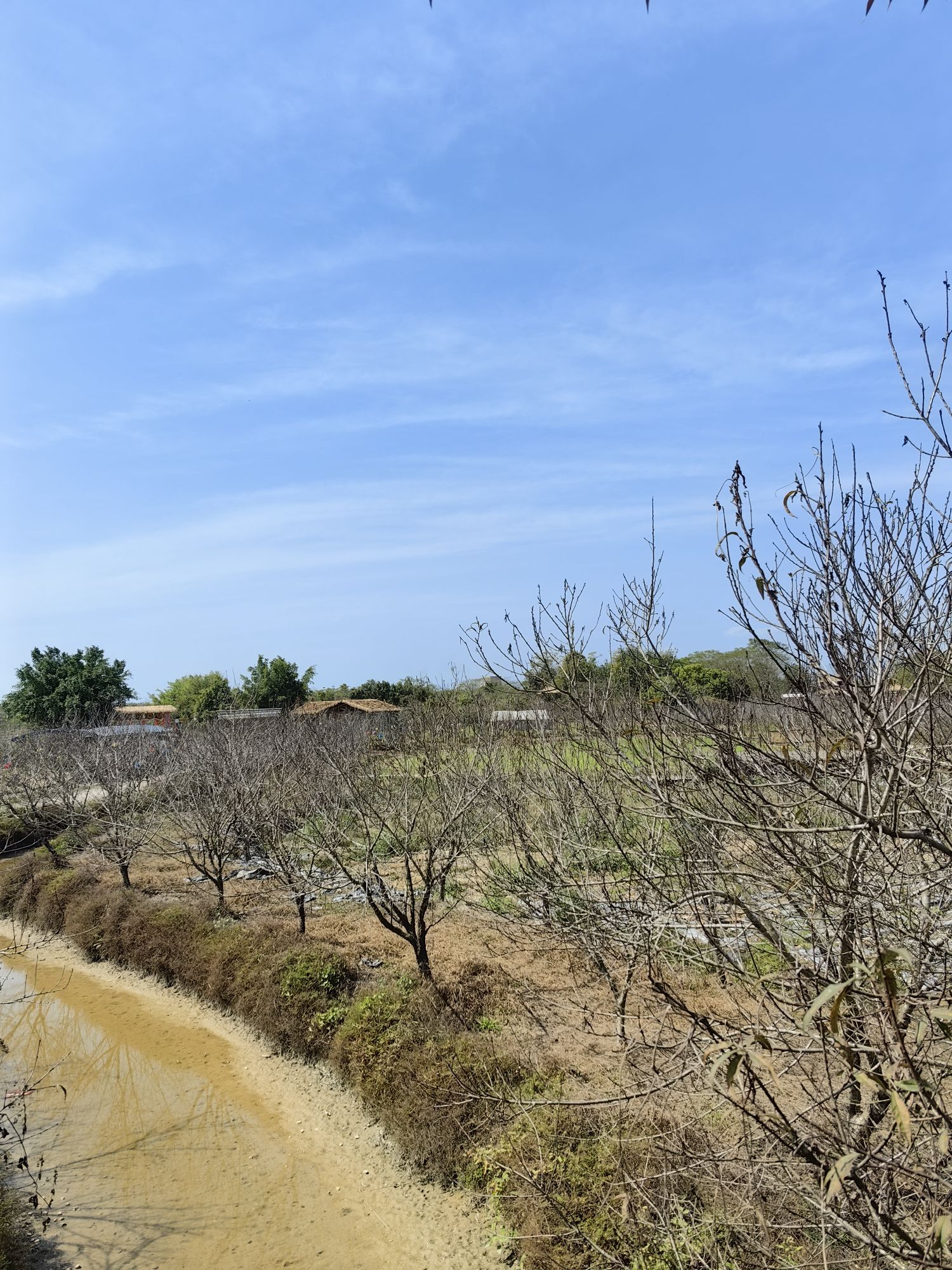 吉之旅南溪水乡·十里桃花旅行图片 1