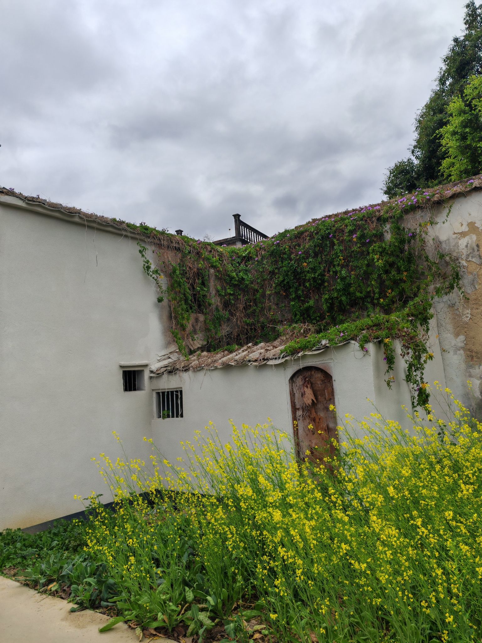 吉之旅南溪水乡·十里桃花旅行图片 3