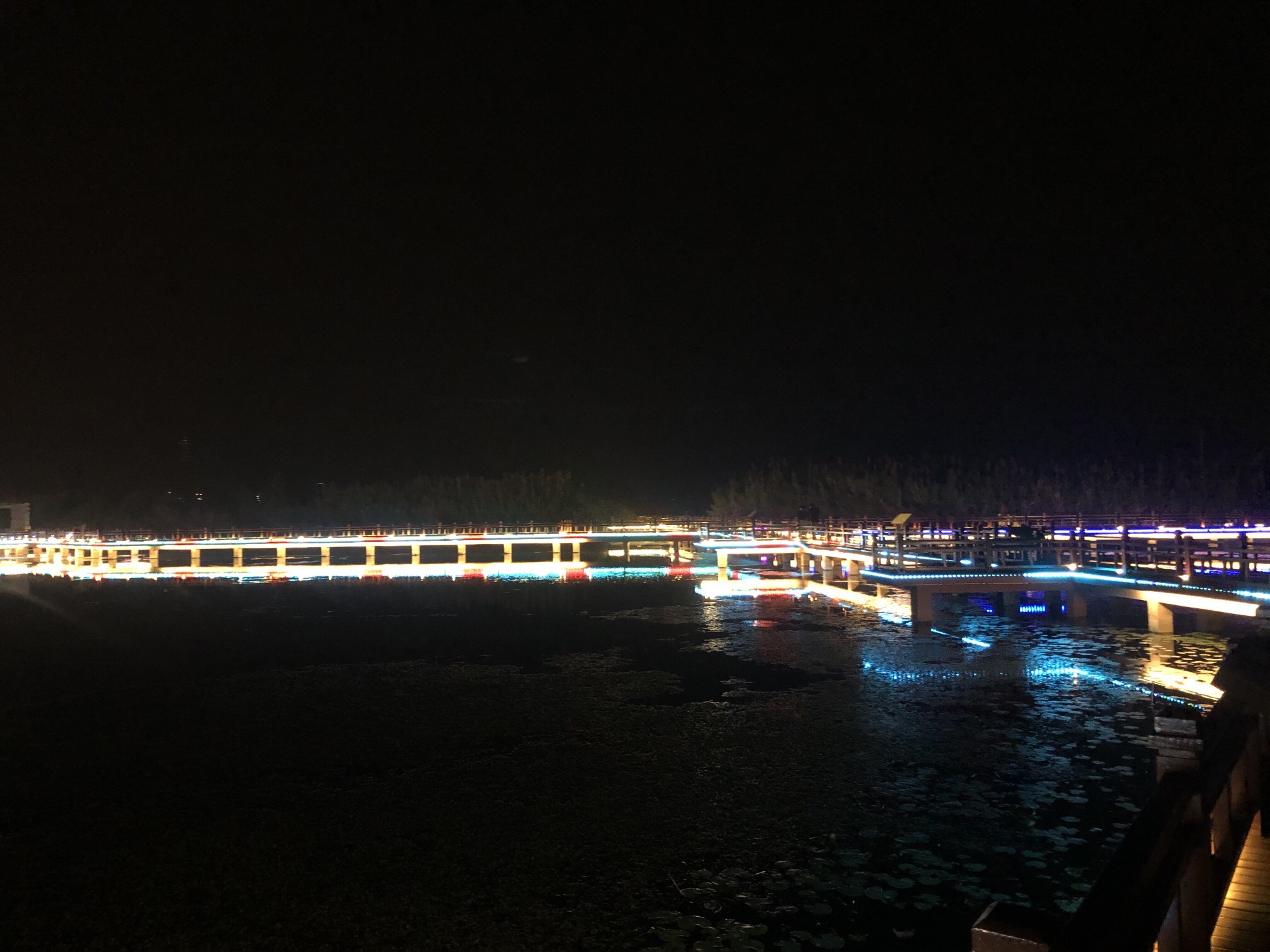 虹桥新城沿江生态廊道旅行图片 2