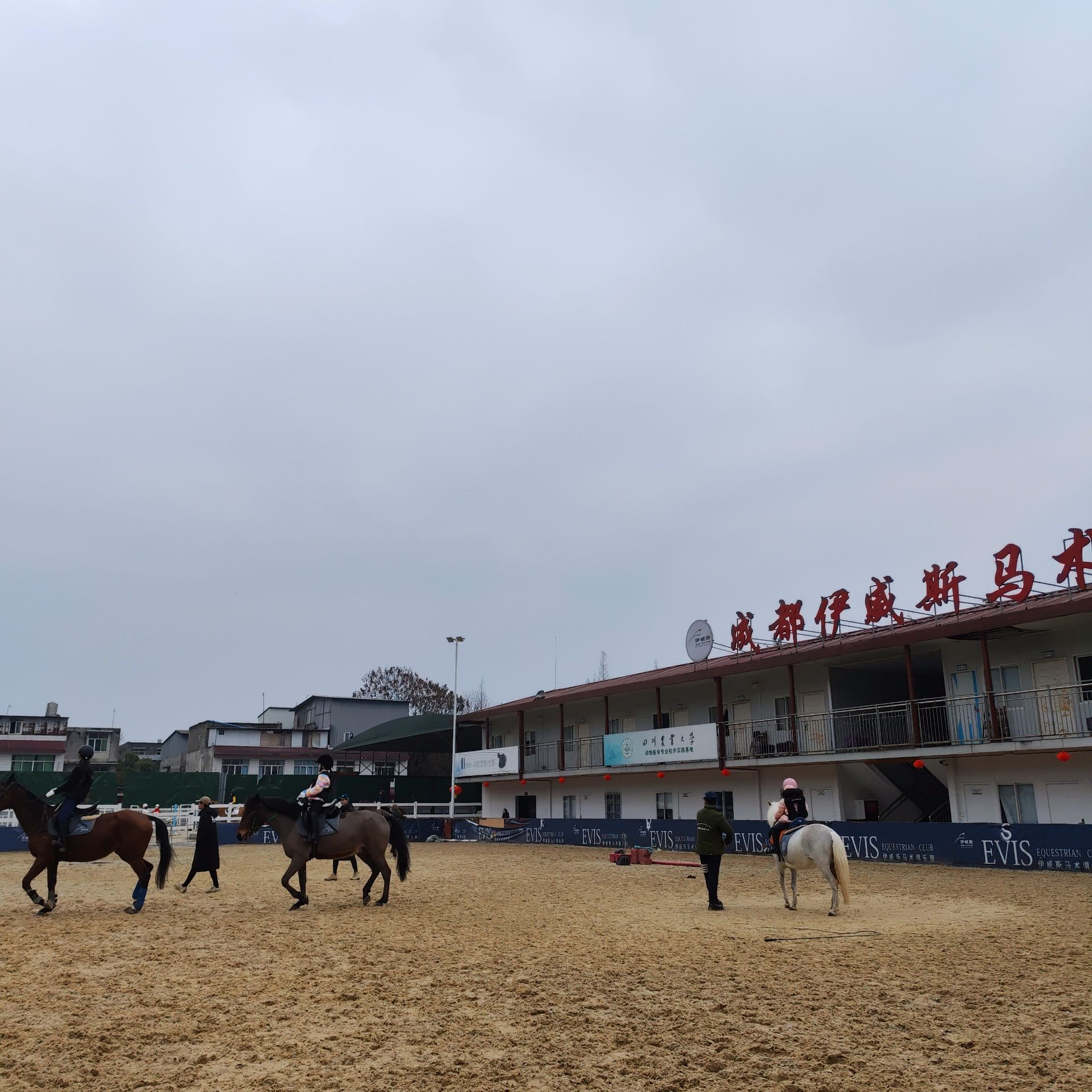 场地封面-成都伊威斯马术