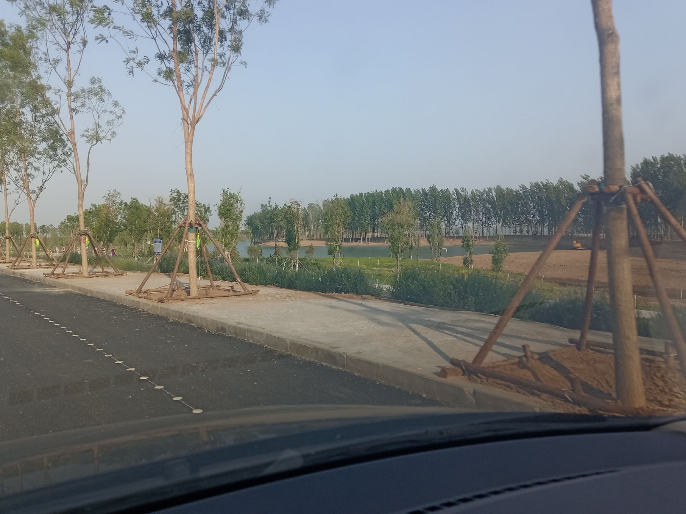 雄安森林公园旅行图片 3