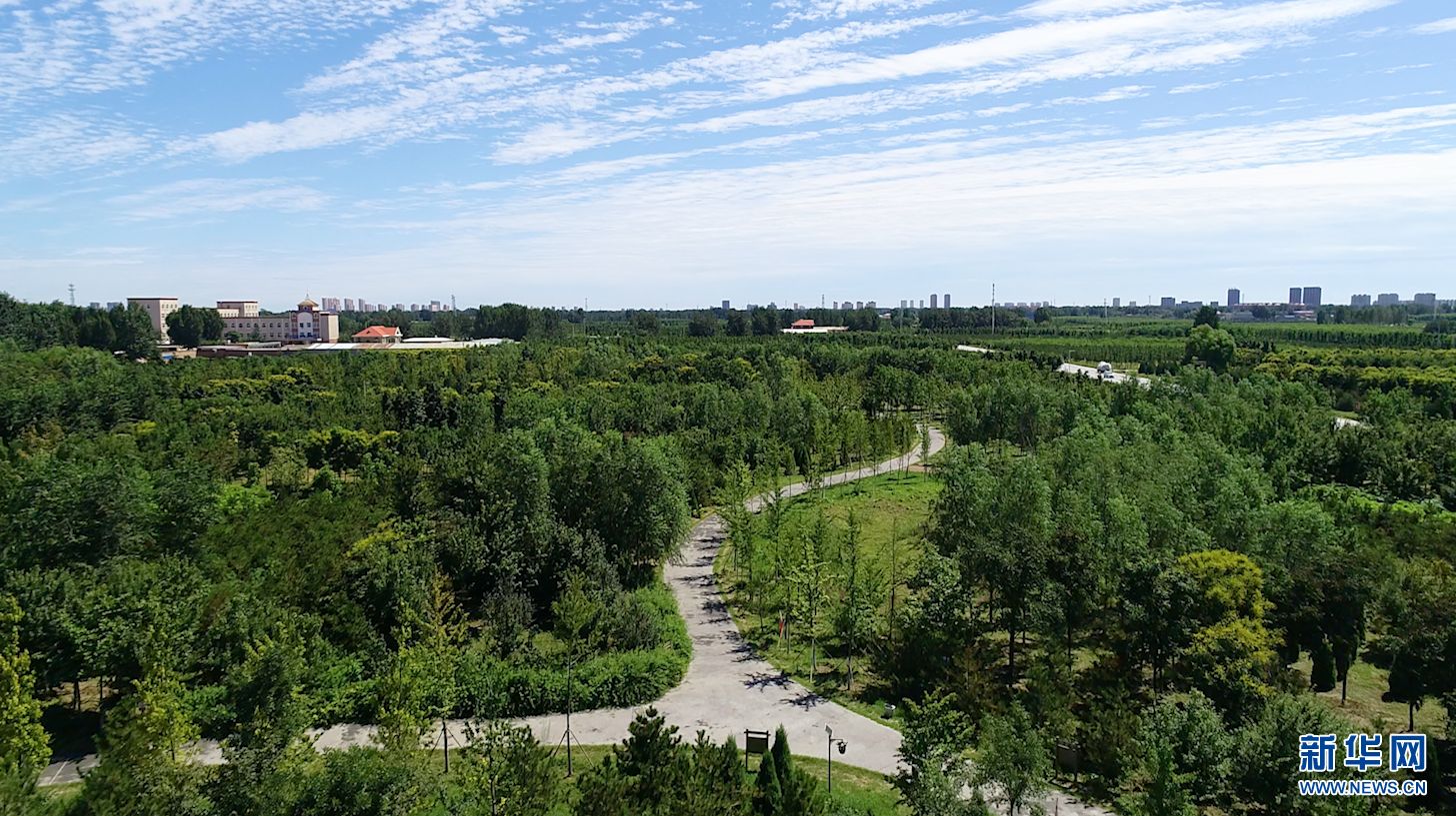 雄安森林公园旅行图片 2