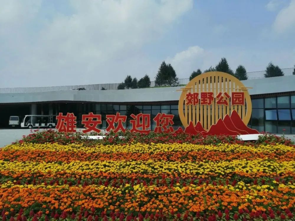 雄安森林公园旅行图片 3