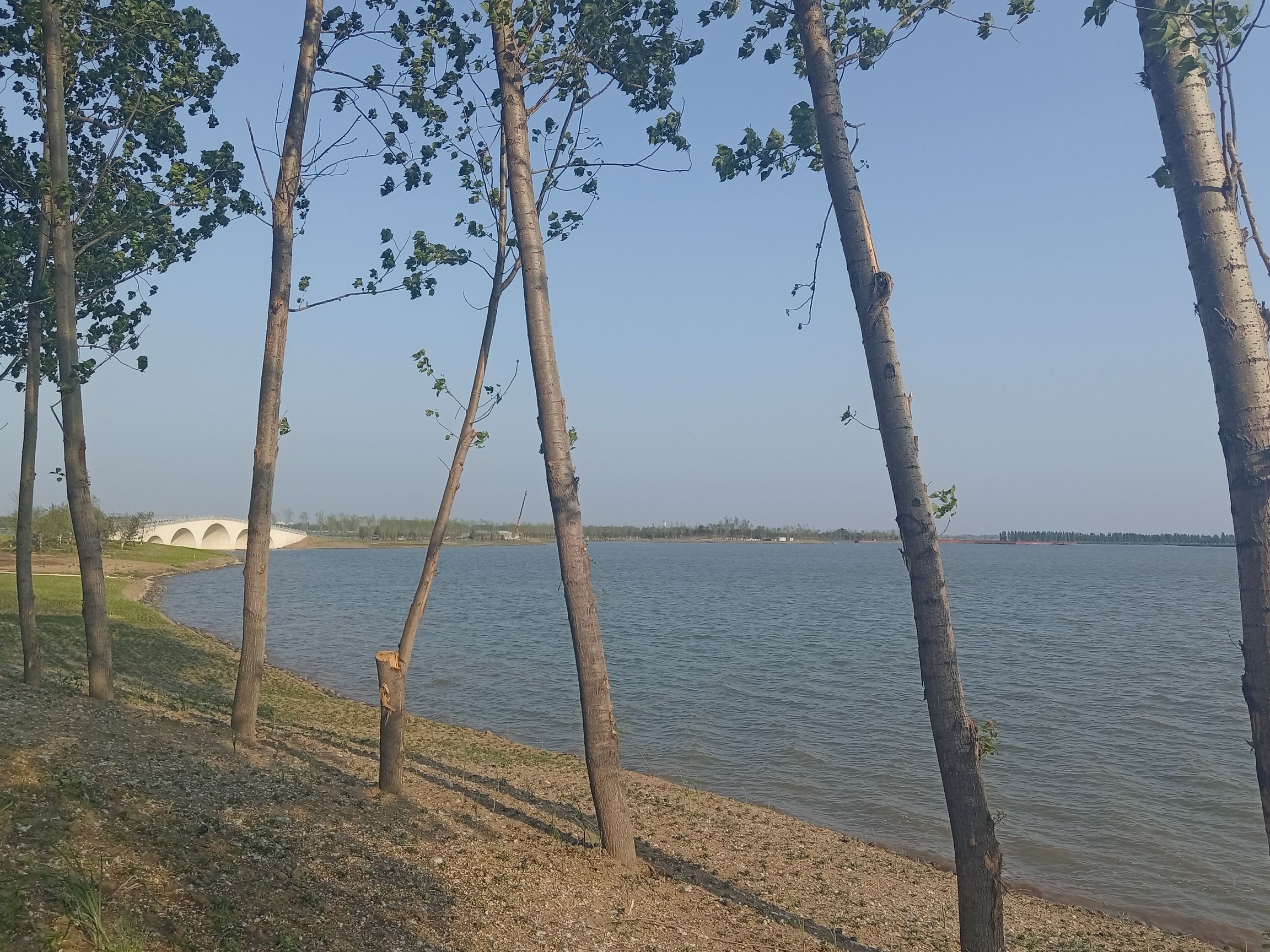 雄安森林公园旅行图片