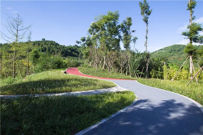 雄安森林公园旅行图片