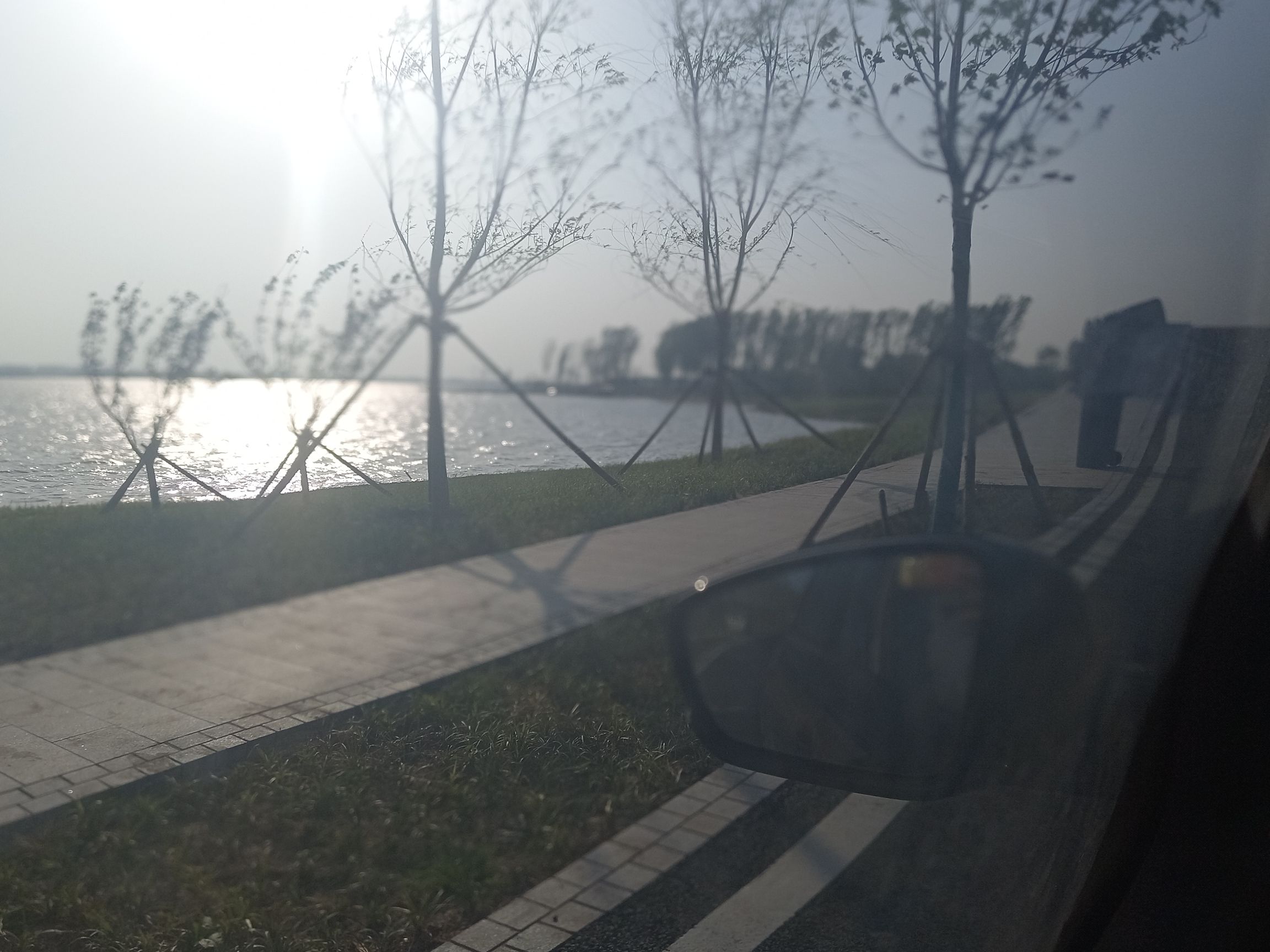 雄安森林公园旅行图片 2
