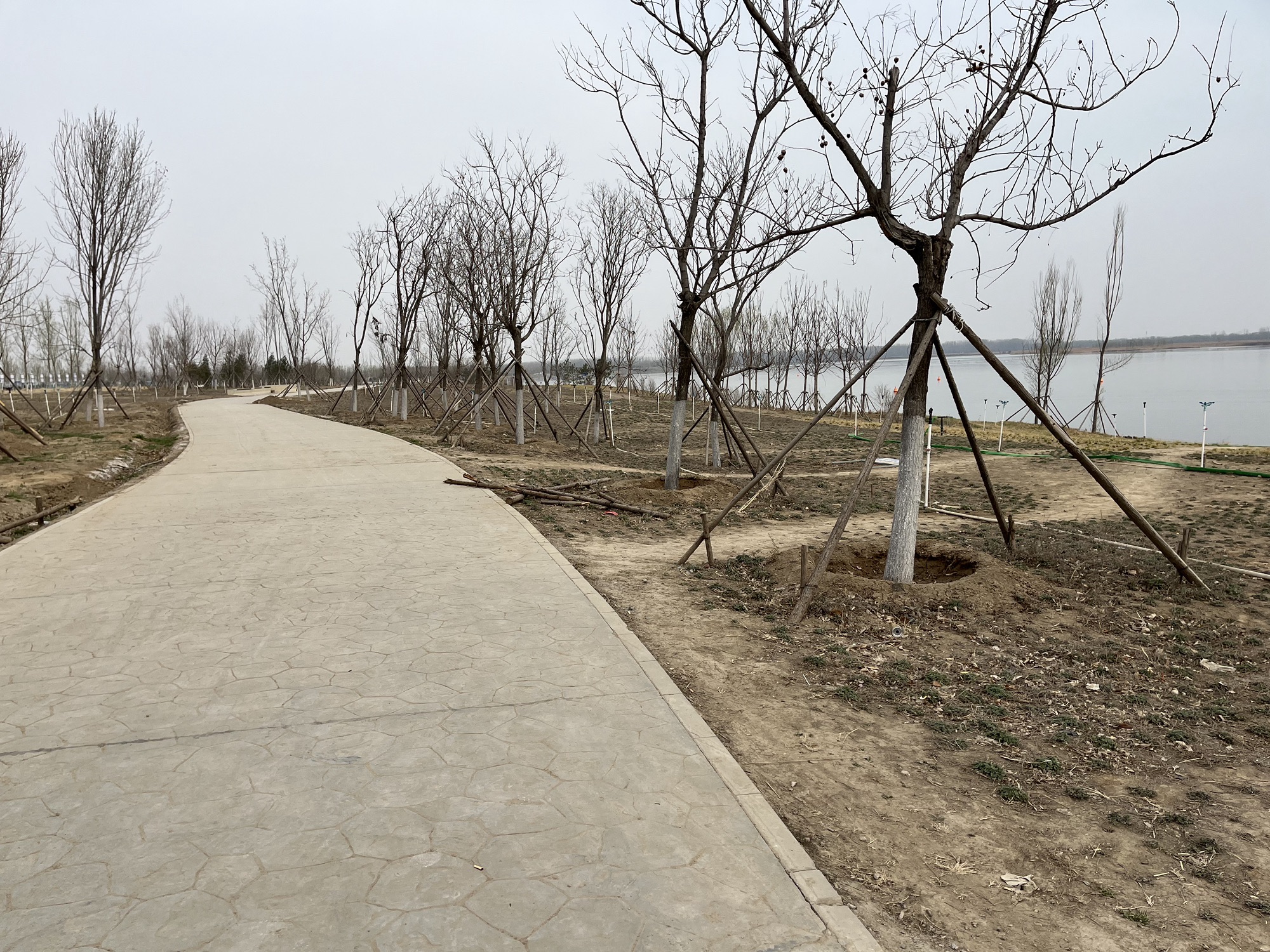 雄安森林公园旅行图片