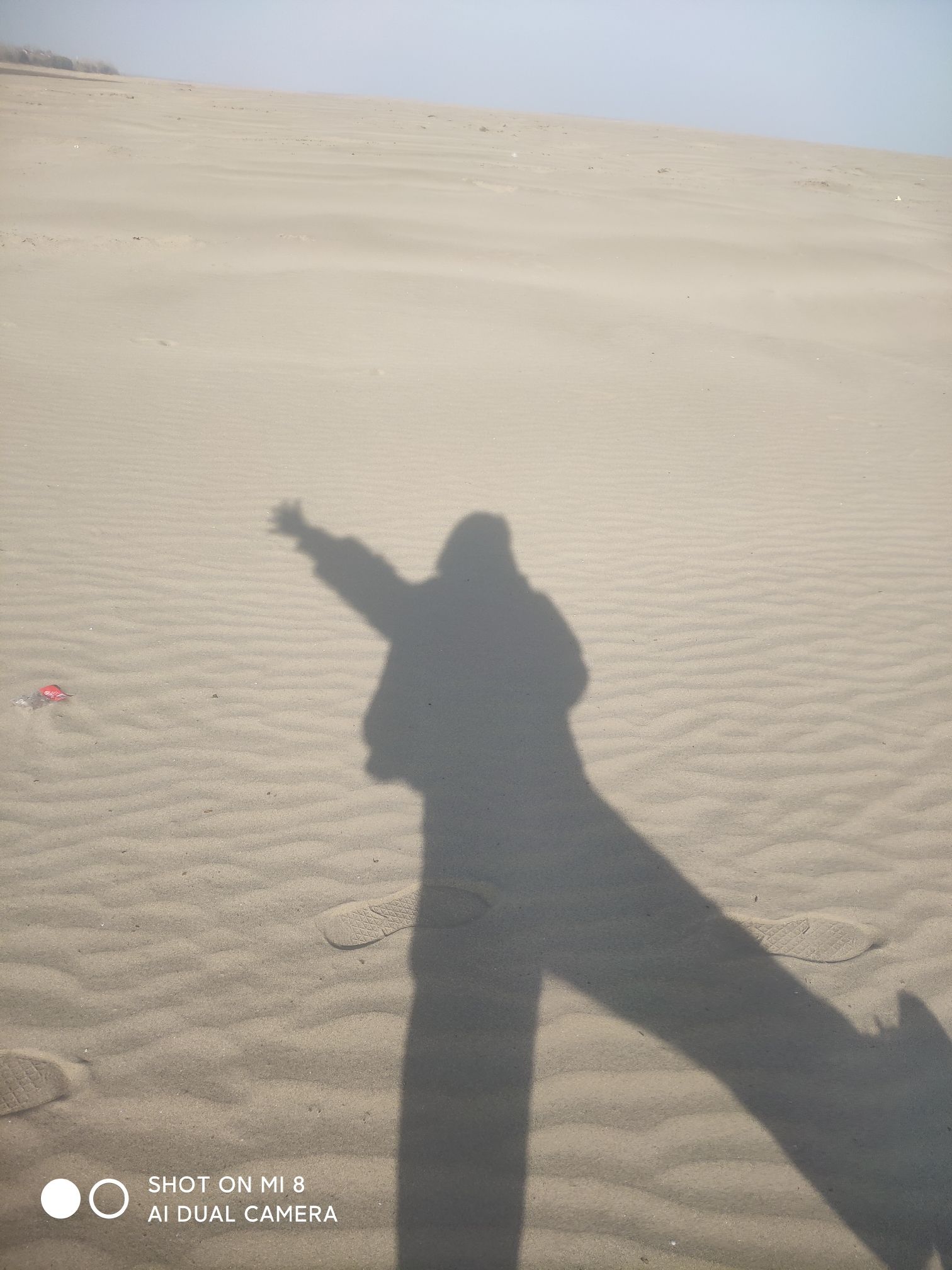 娘娘树沙滩旅行图片 2