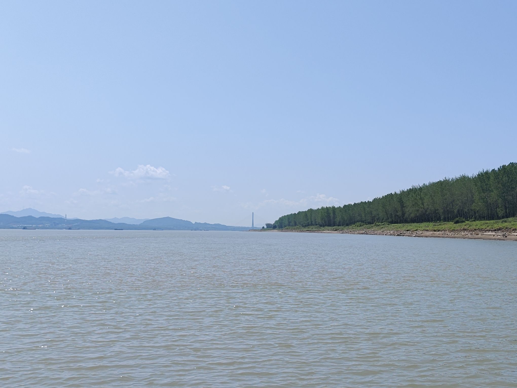 娘娘树沙滩旅行图片 2