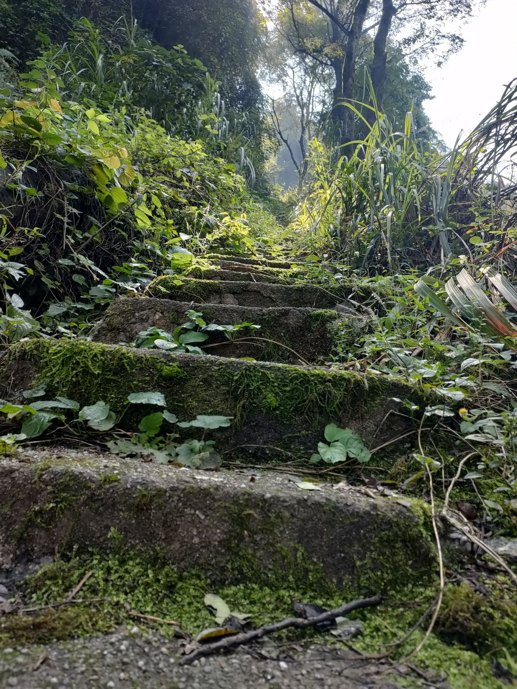 相山飞瀑旅行图片 2