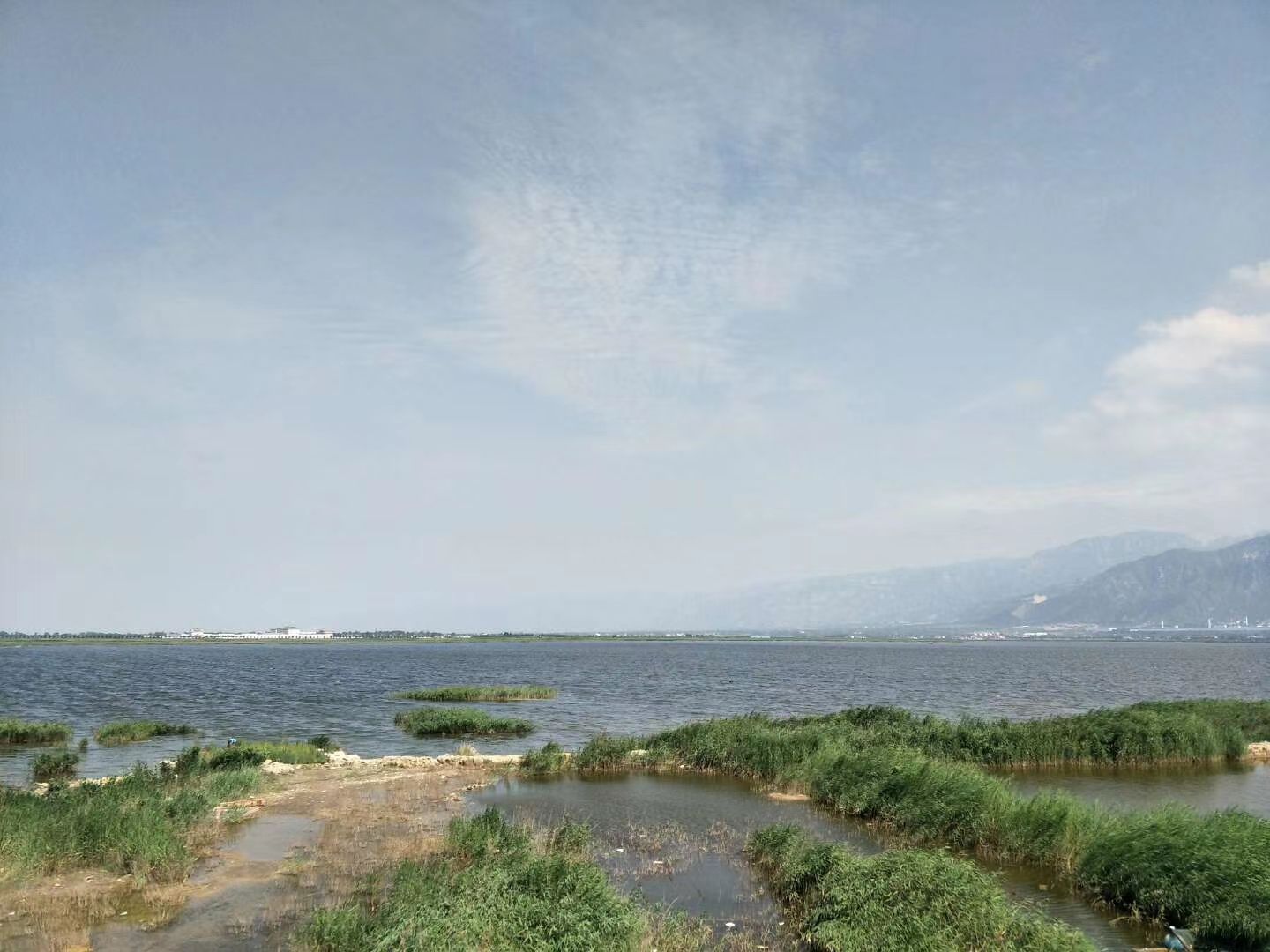 伍姓湖湿地旅行图片 3