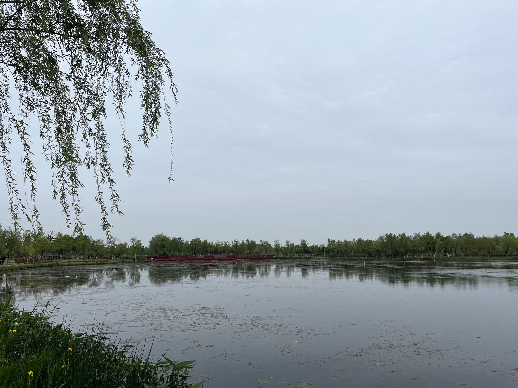 泗洪县河长制尾水湿地主题公园旅行图片 1
