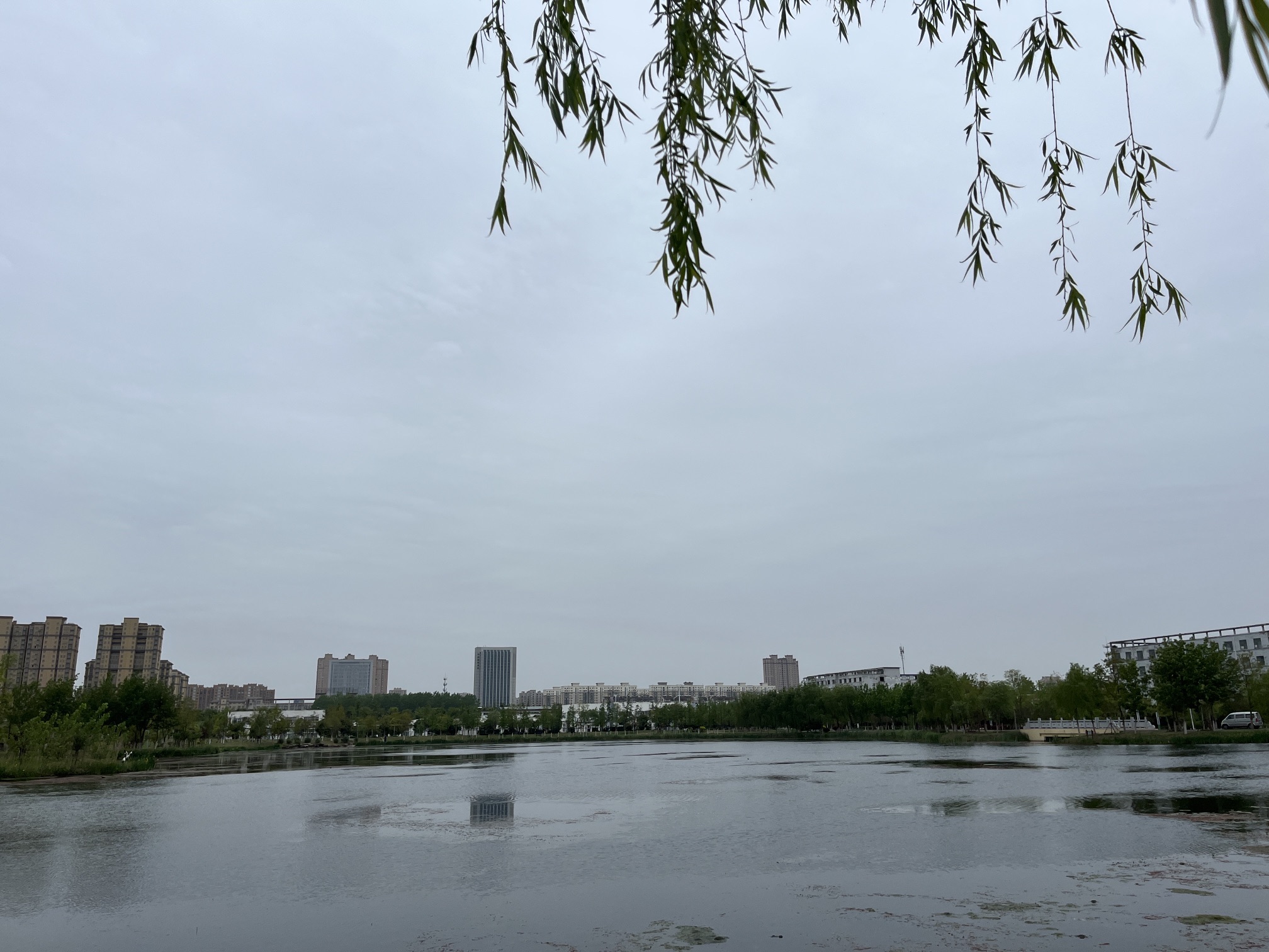 泗洪县河长制尾水湿地主题公园旅行图片 2