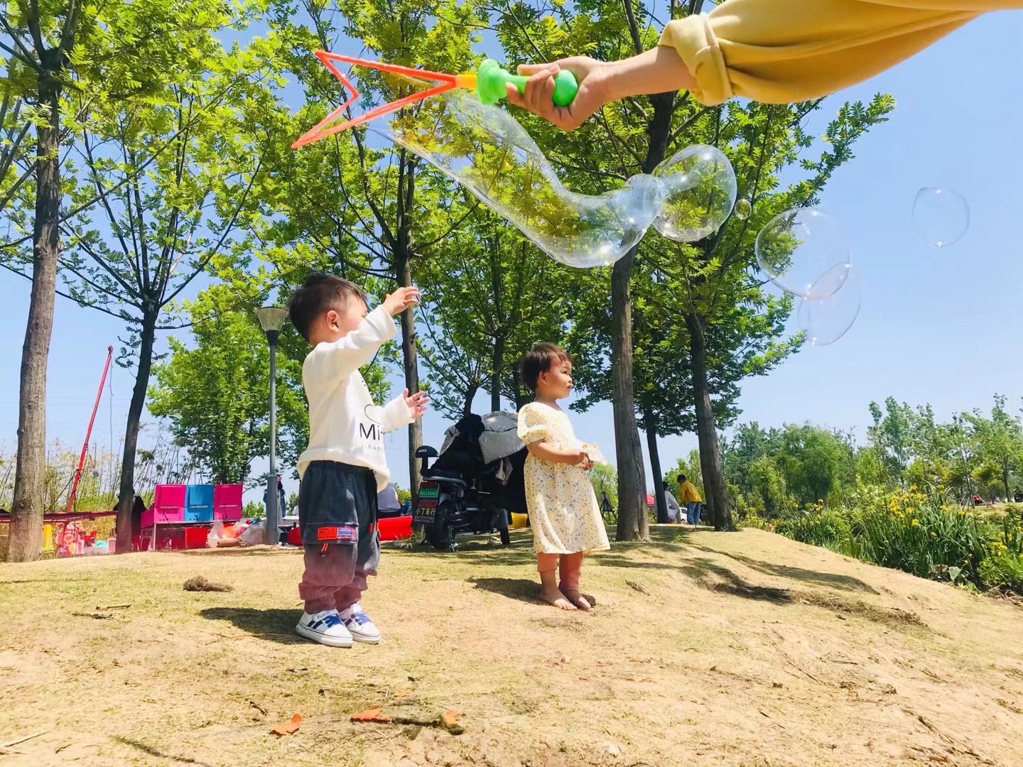 泗洪县河长制尾水湿地主题公园旅行图片 3