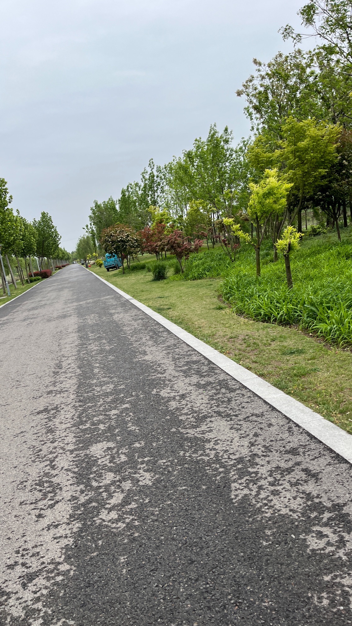 泗洪县河长制尾水湿地主题公园旅行图片 3