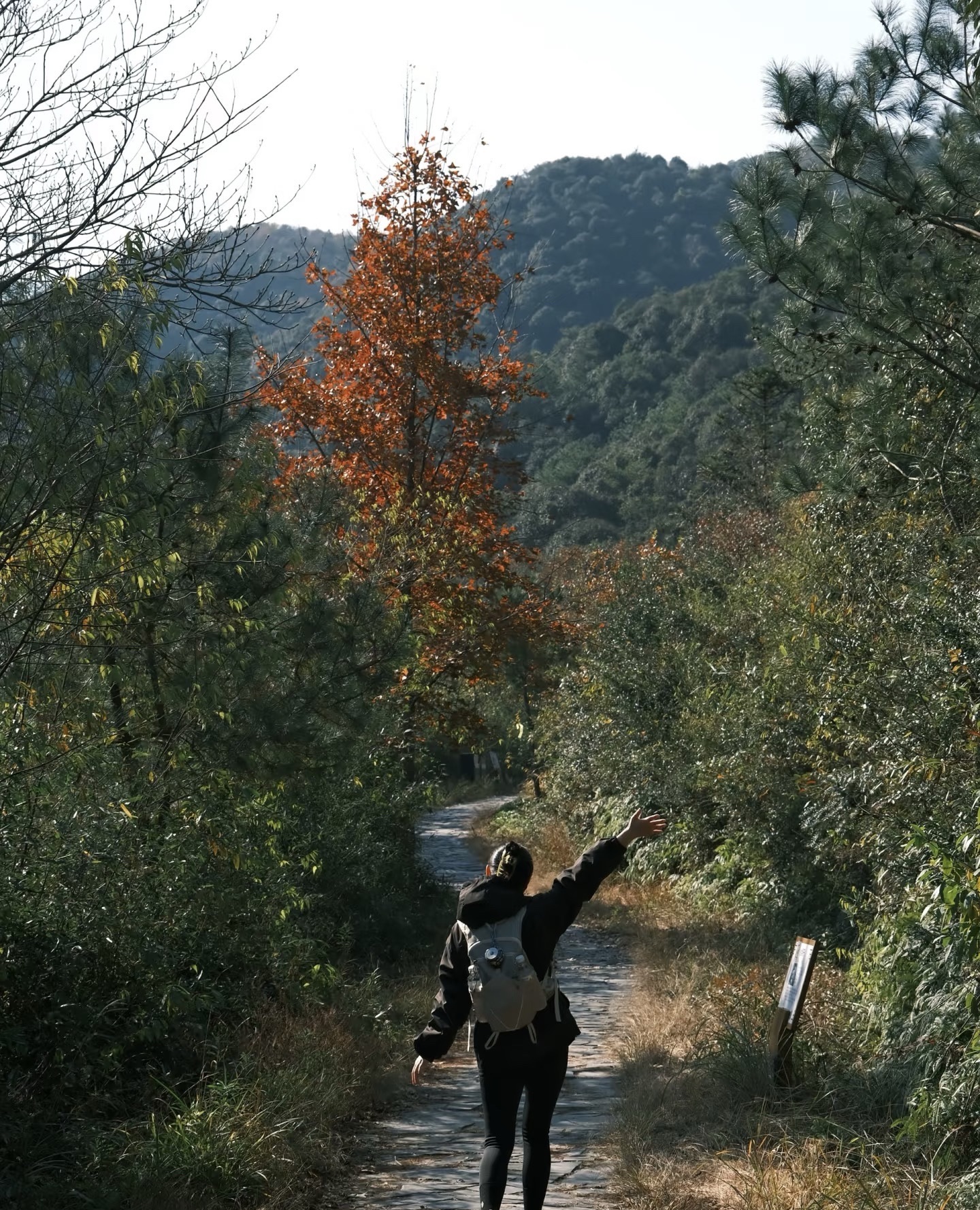 陆羽古道景区旅行图片 2
