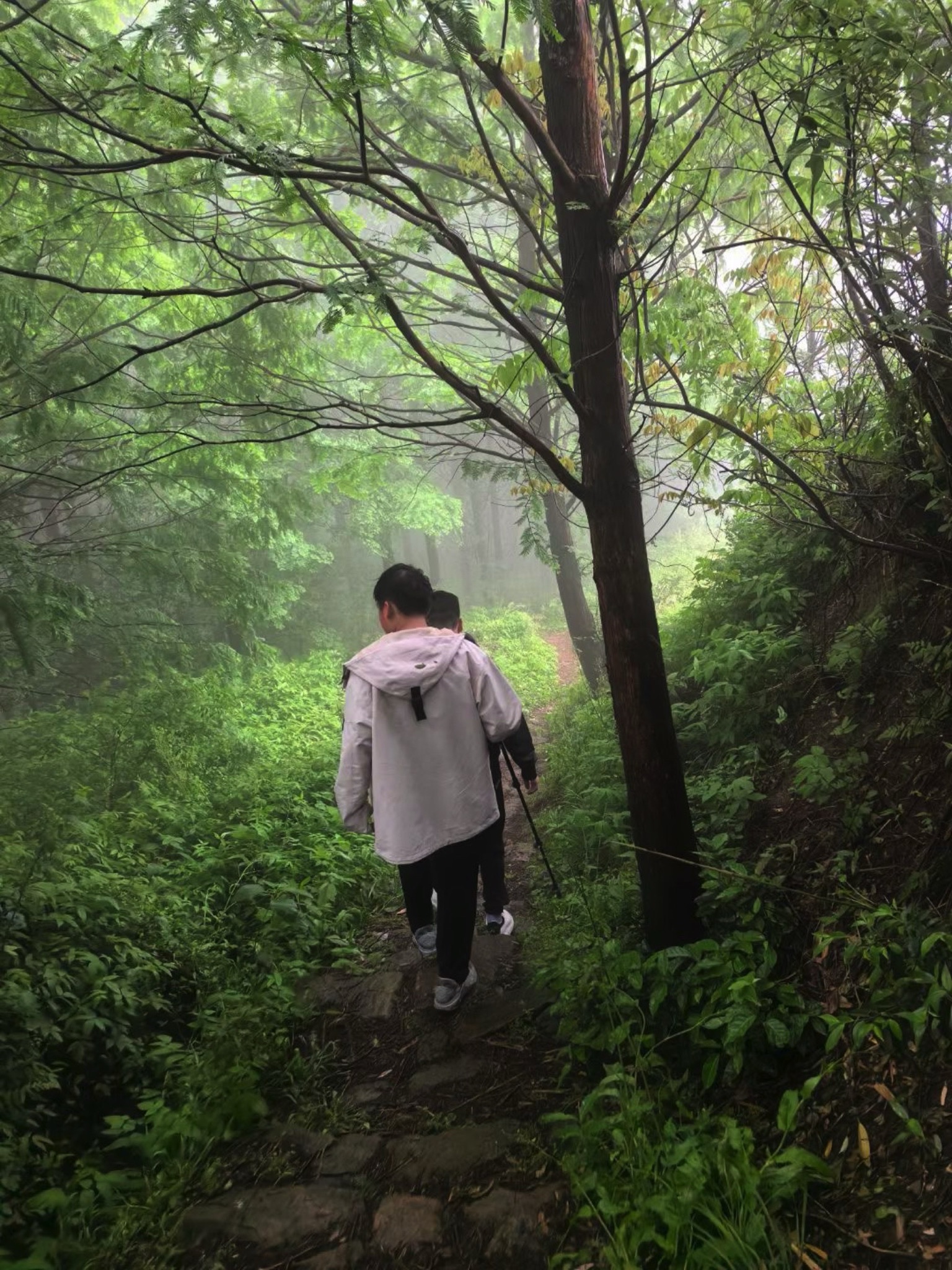 陆羽古道景区旅行图片 3