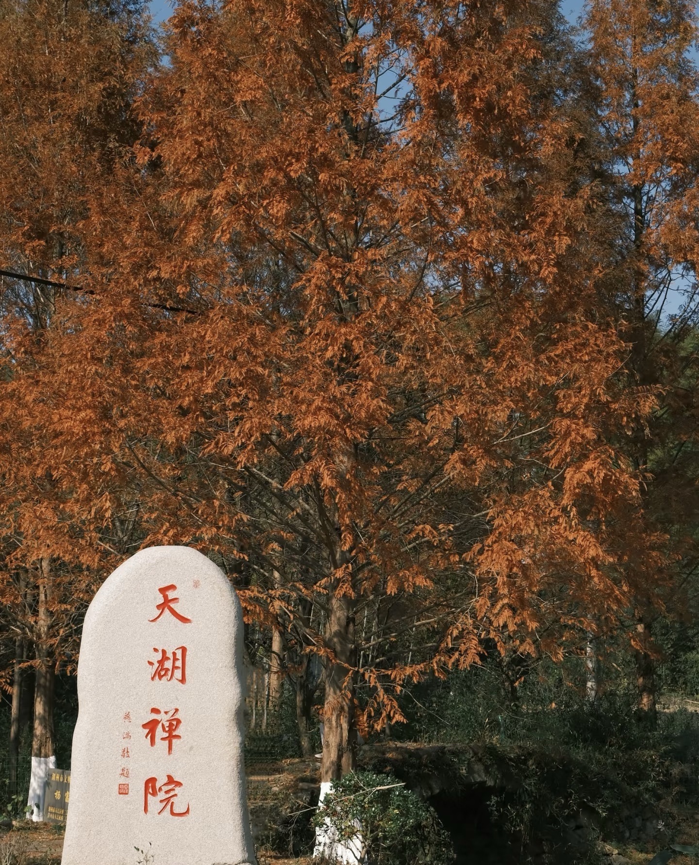 陆羽古道景区旅行图片 1