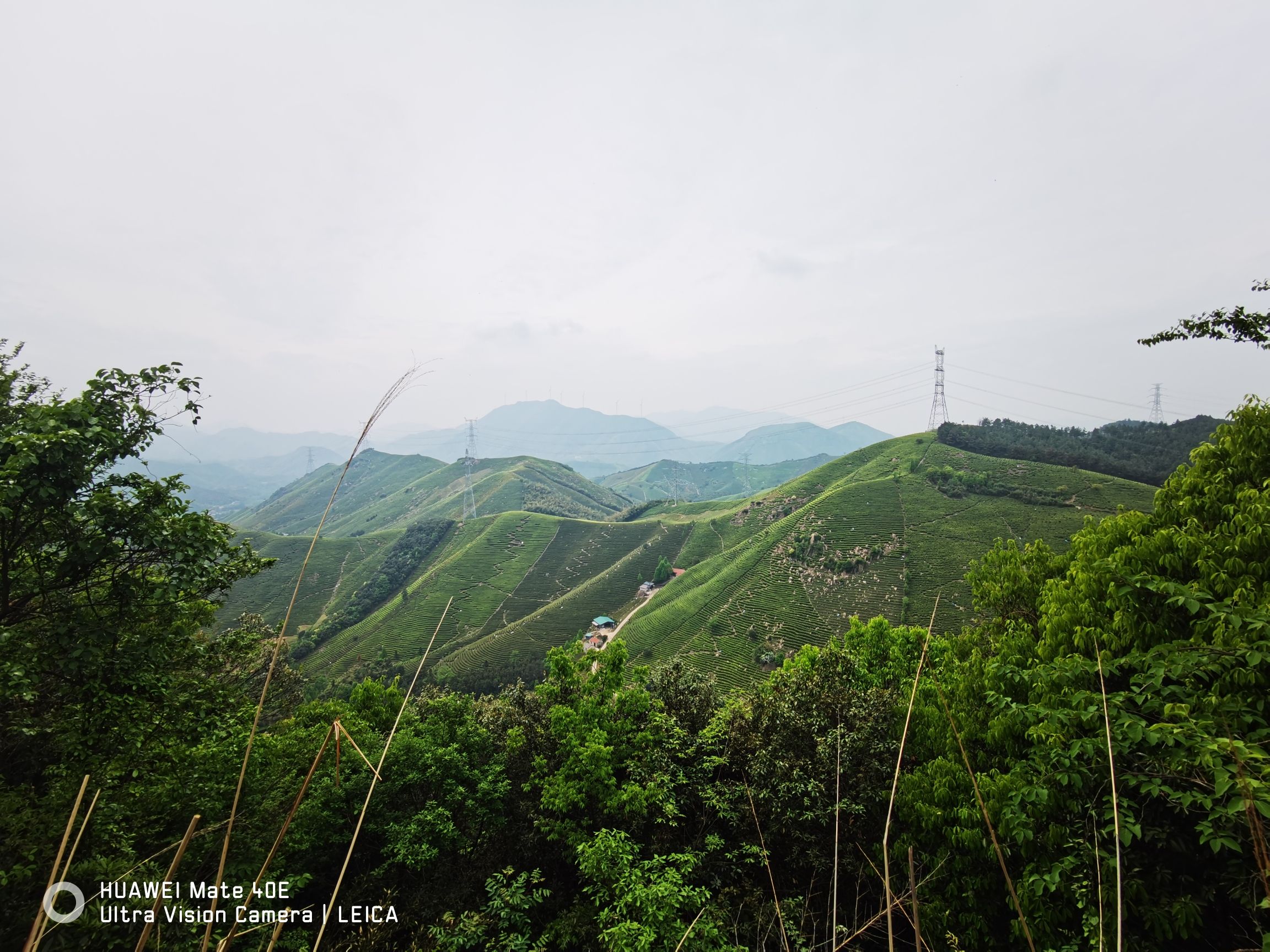 陆羽古道景区旅行图片 3