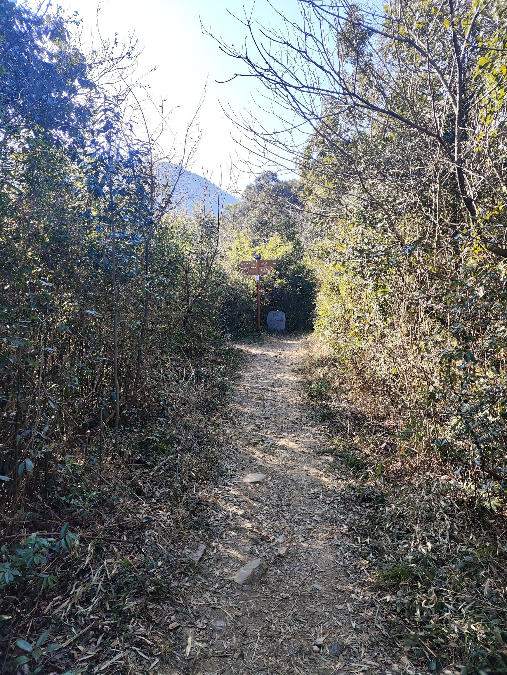 陆羽古道景区旅行图片 3