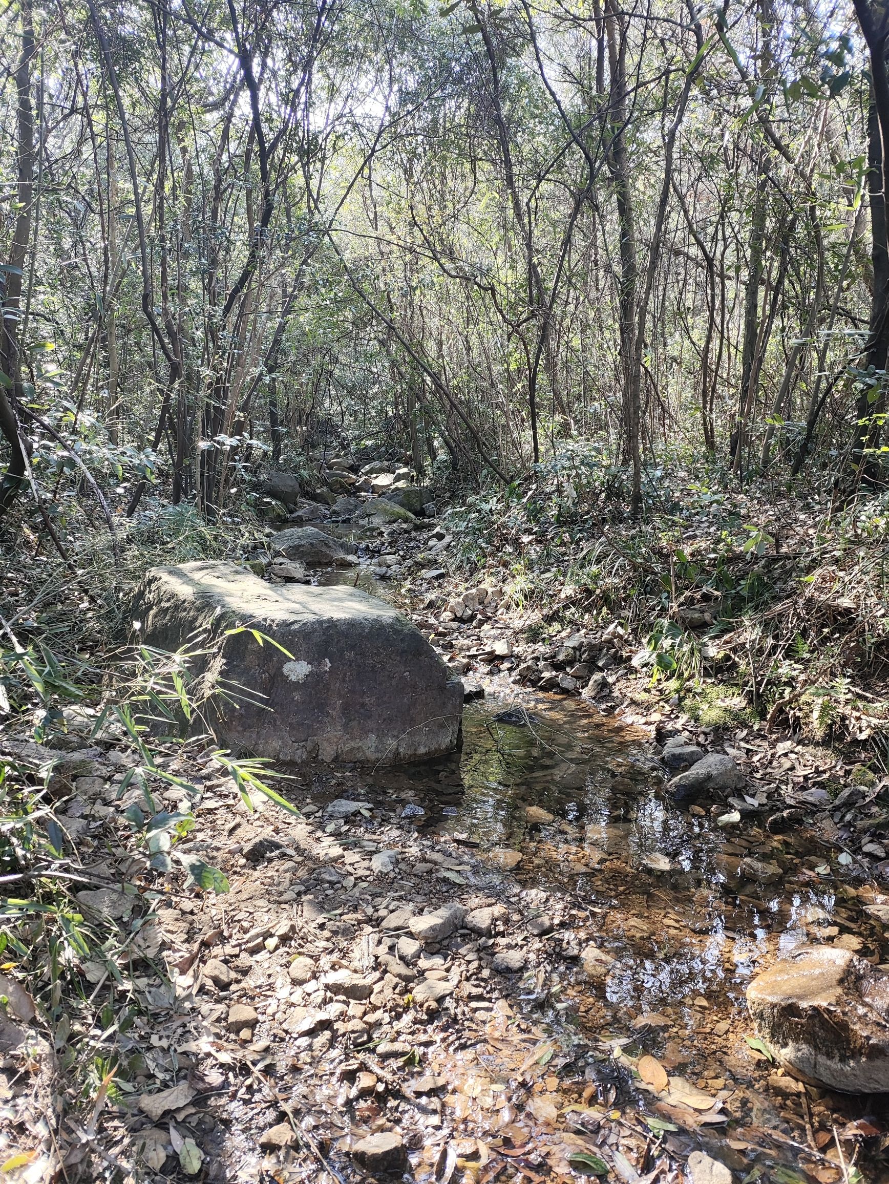 陆羽古道景区旅行图片 2