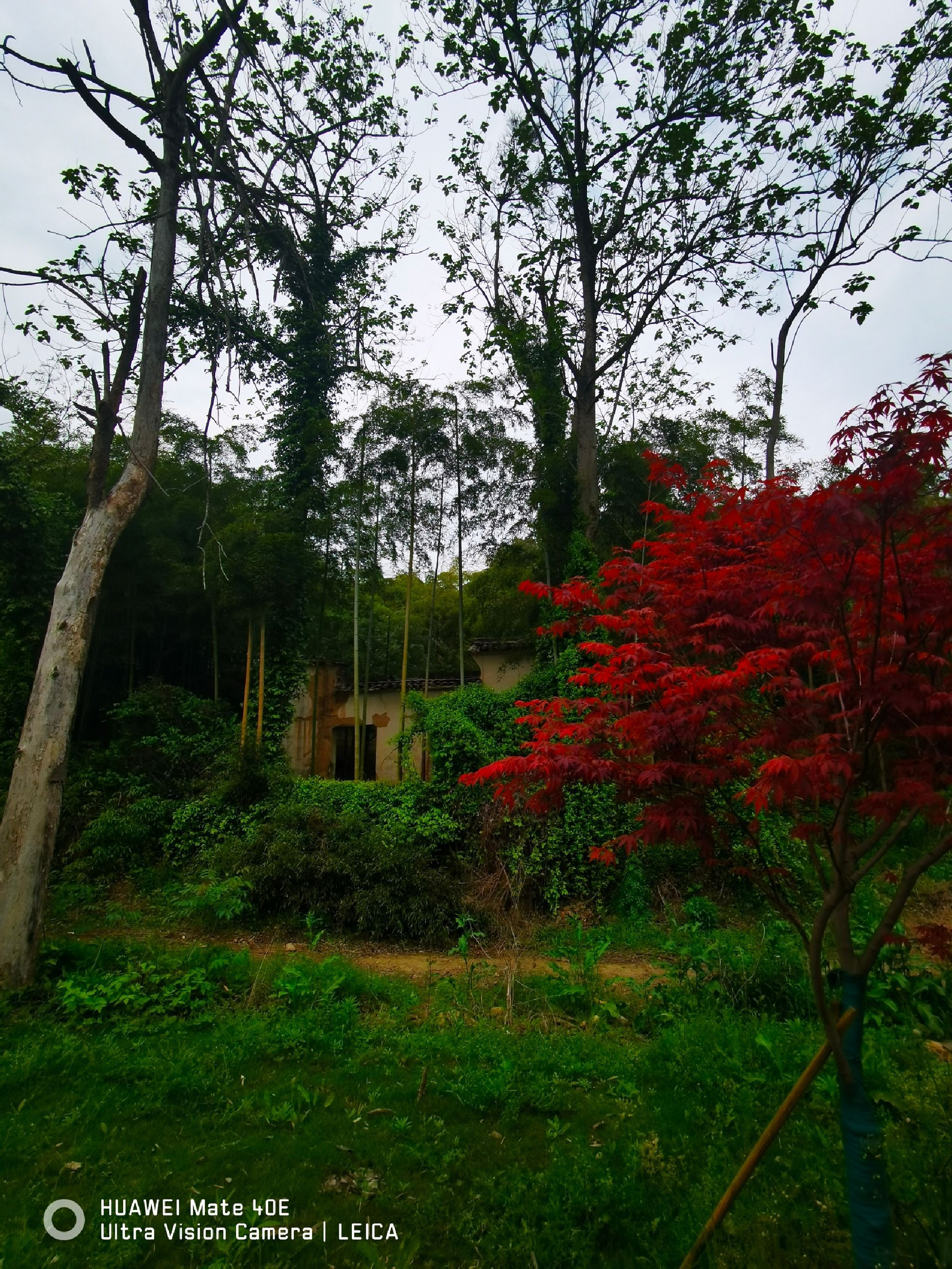 陆羽古道景区旅行图片 1