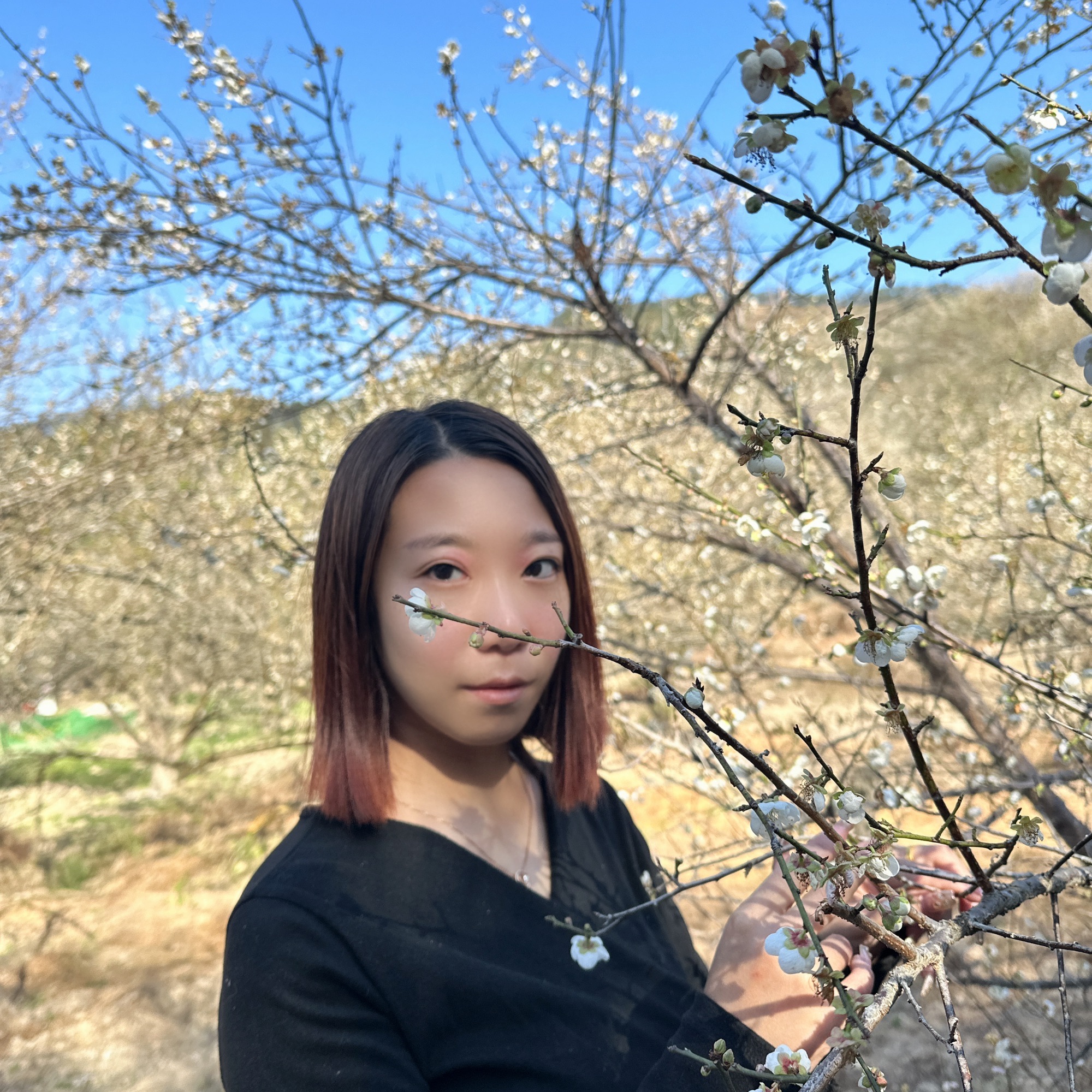 古原大坑赏梅园区旅行图片 3
