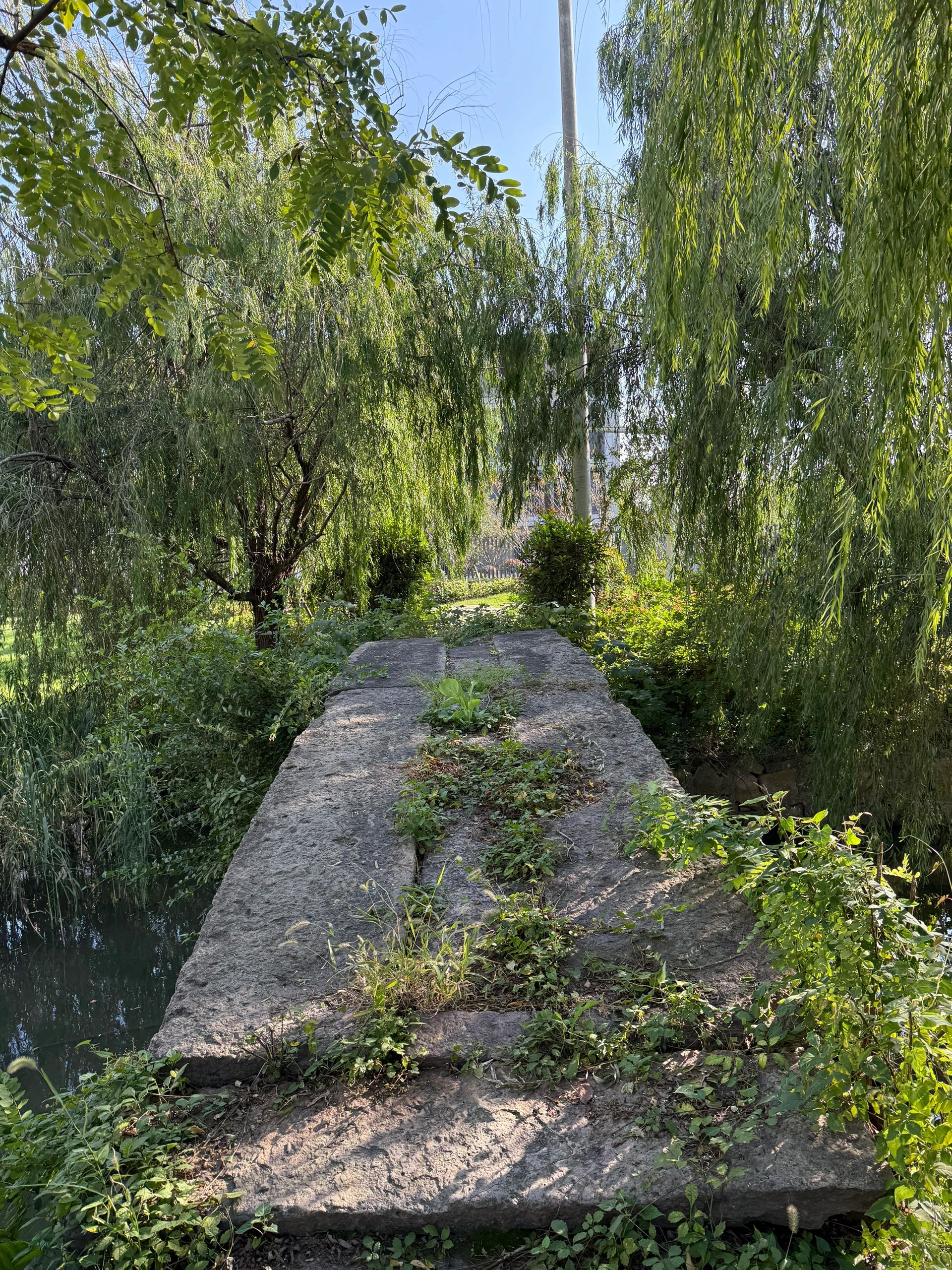 醴陵青云桥旅行图片 3