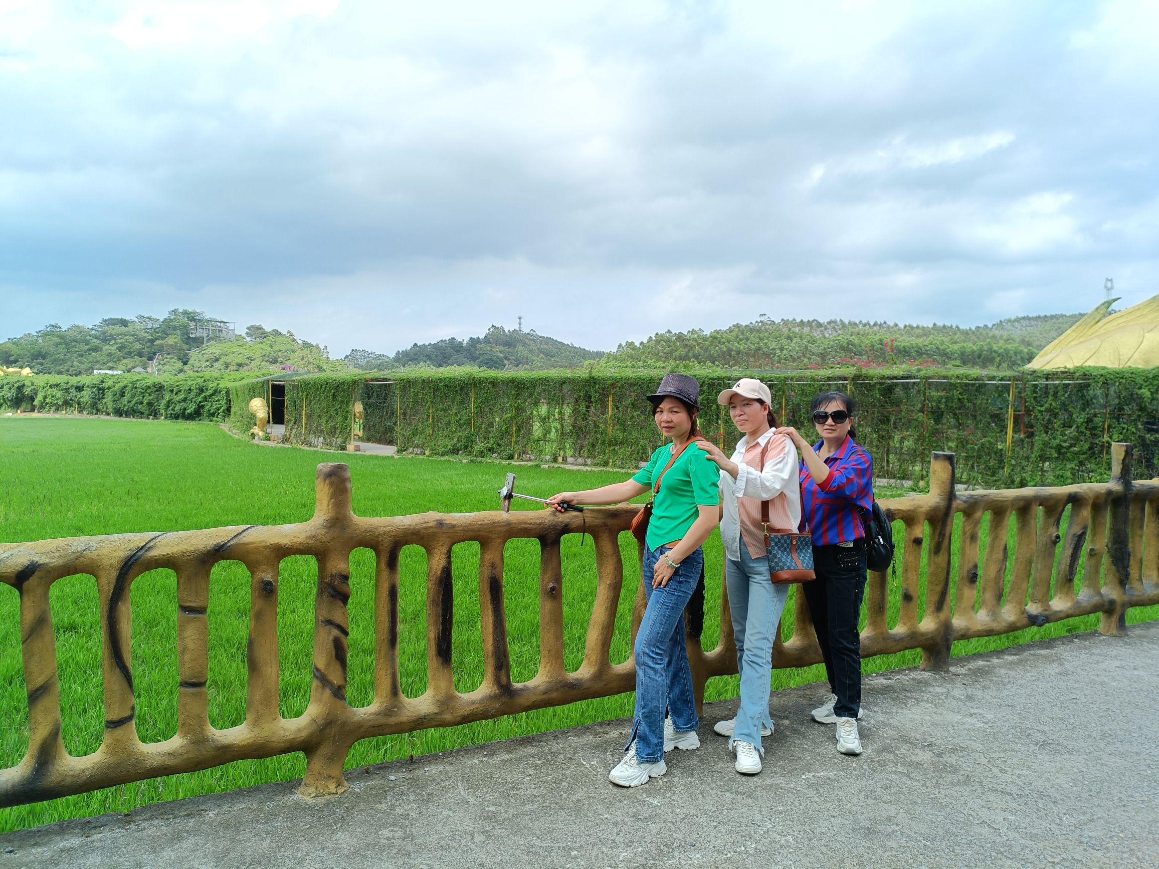 古辣稻田艺术景区旅行图片 3