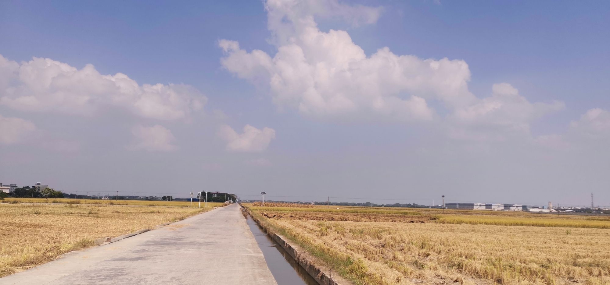 古辣稻田艺术景区旅行图片 3