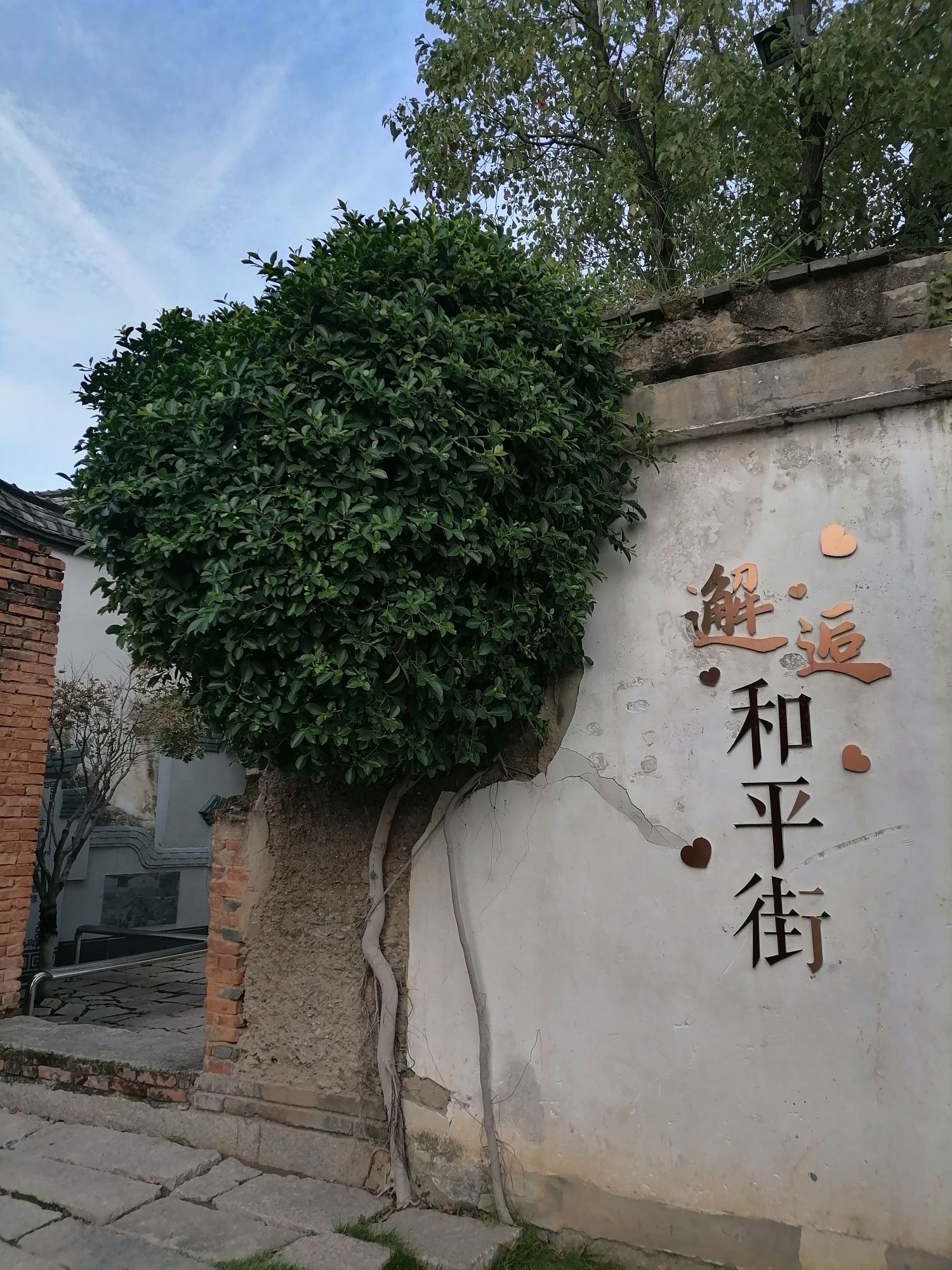长乐区和平街古城墙遗址公园旅行图片 1