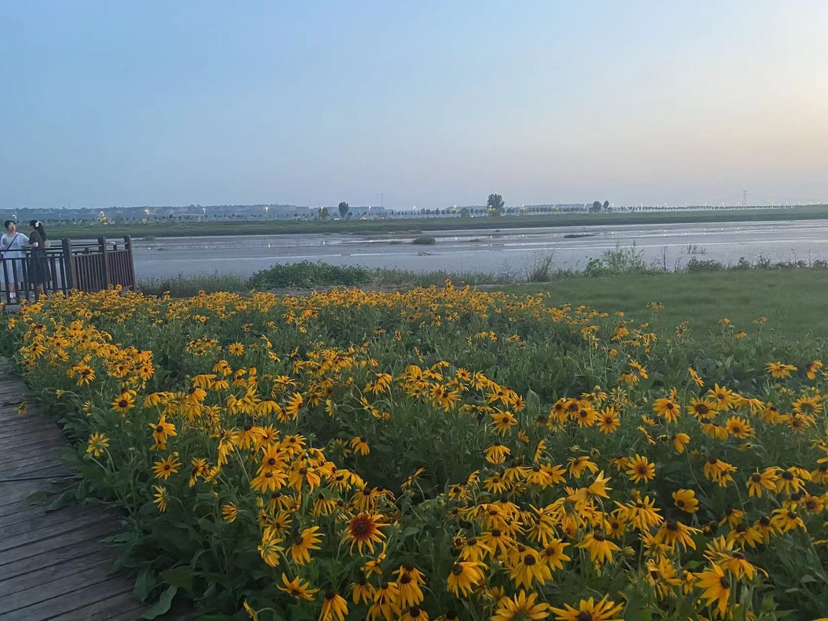 山西稷山汾河国家湿地公园旅行图片 1
