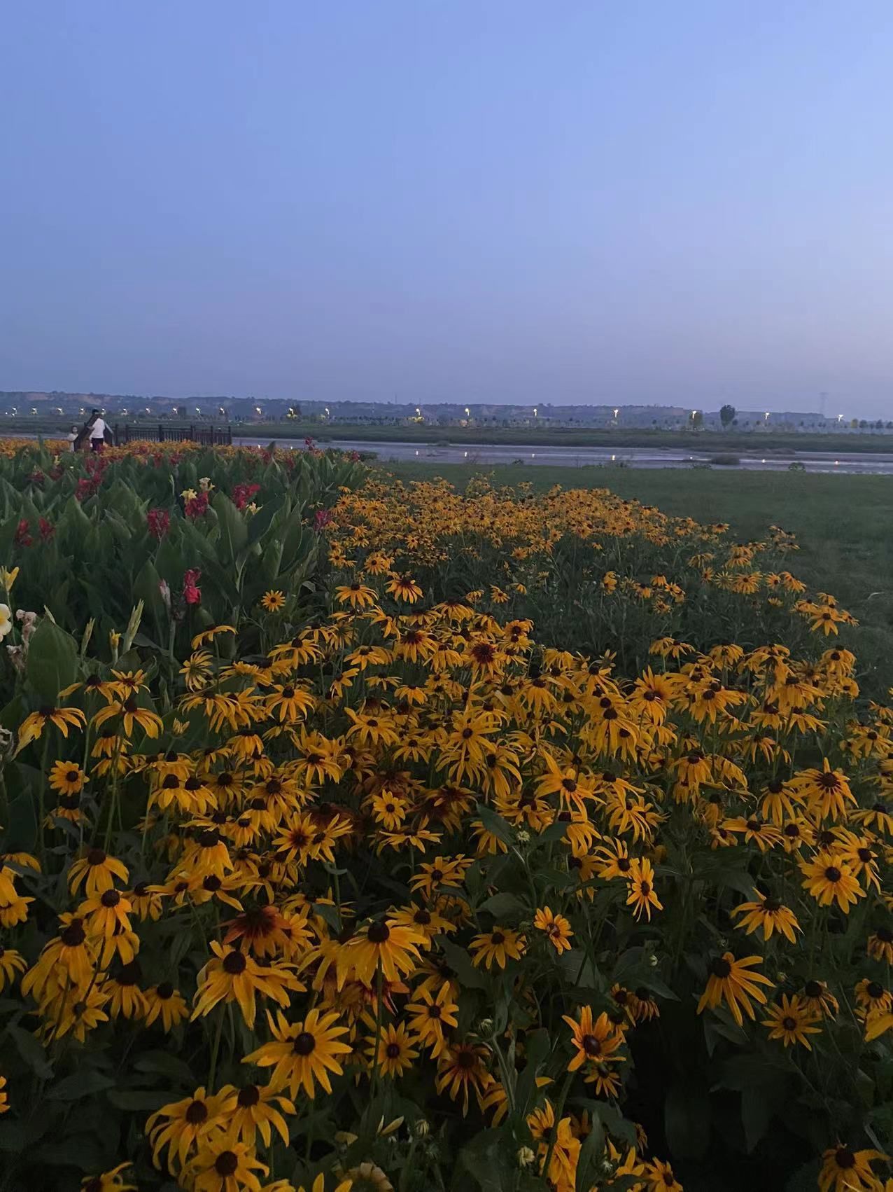 山西稷山汾河国家湿地公园旅行图片 2