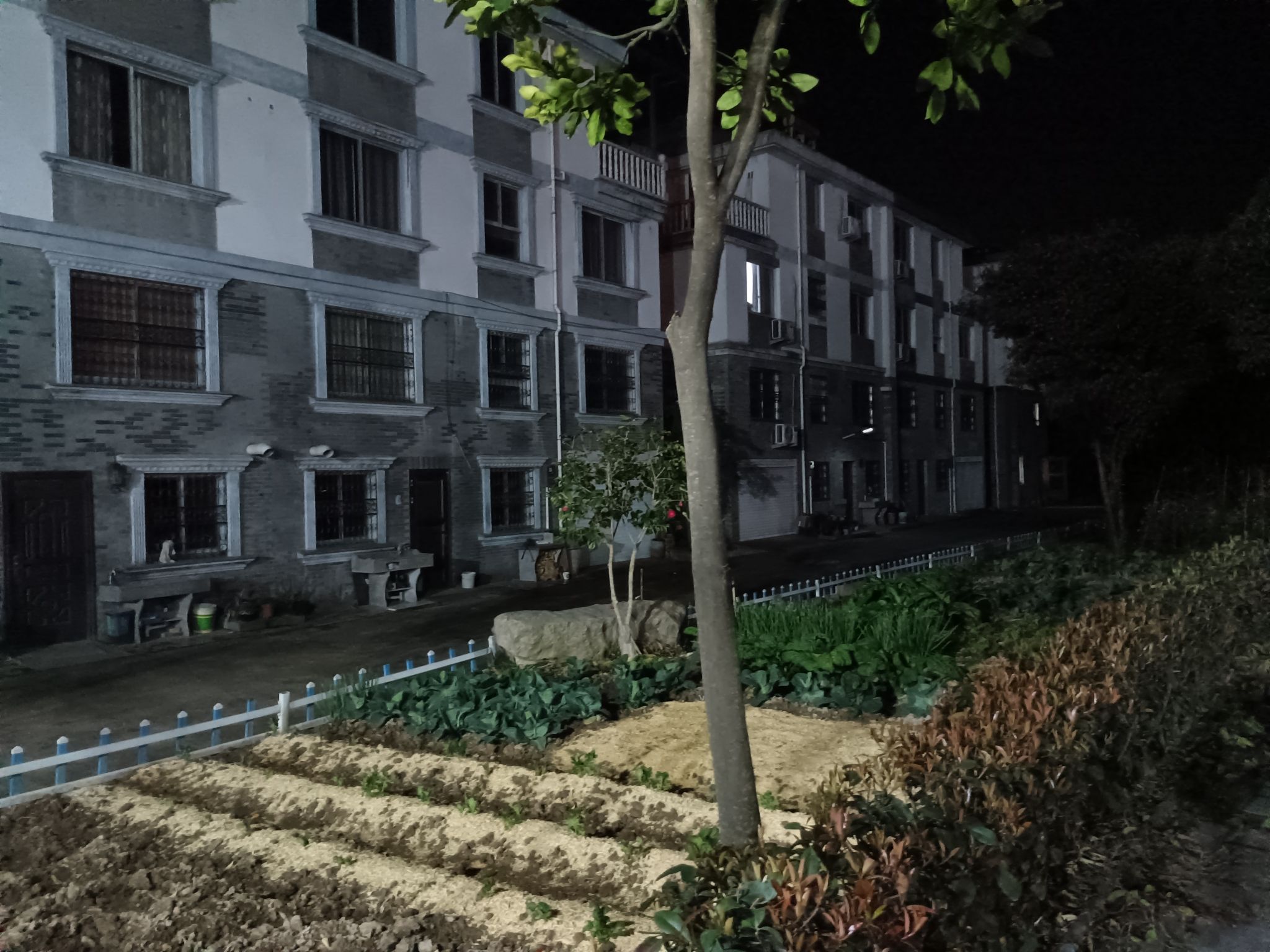 黄梁陈村大桥公园旅行图片 1