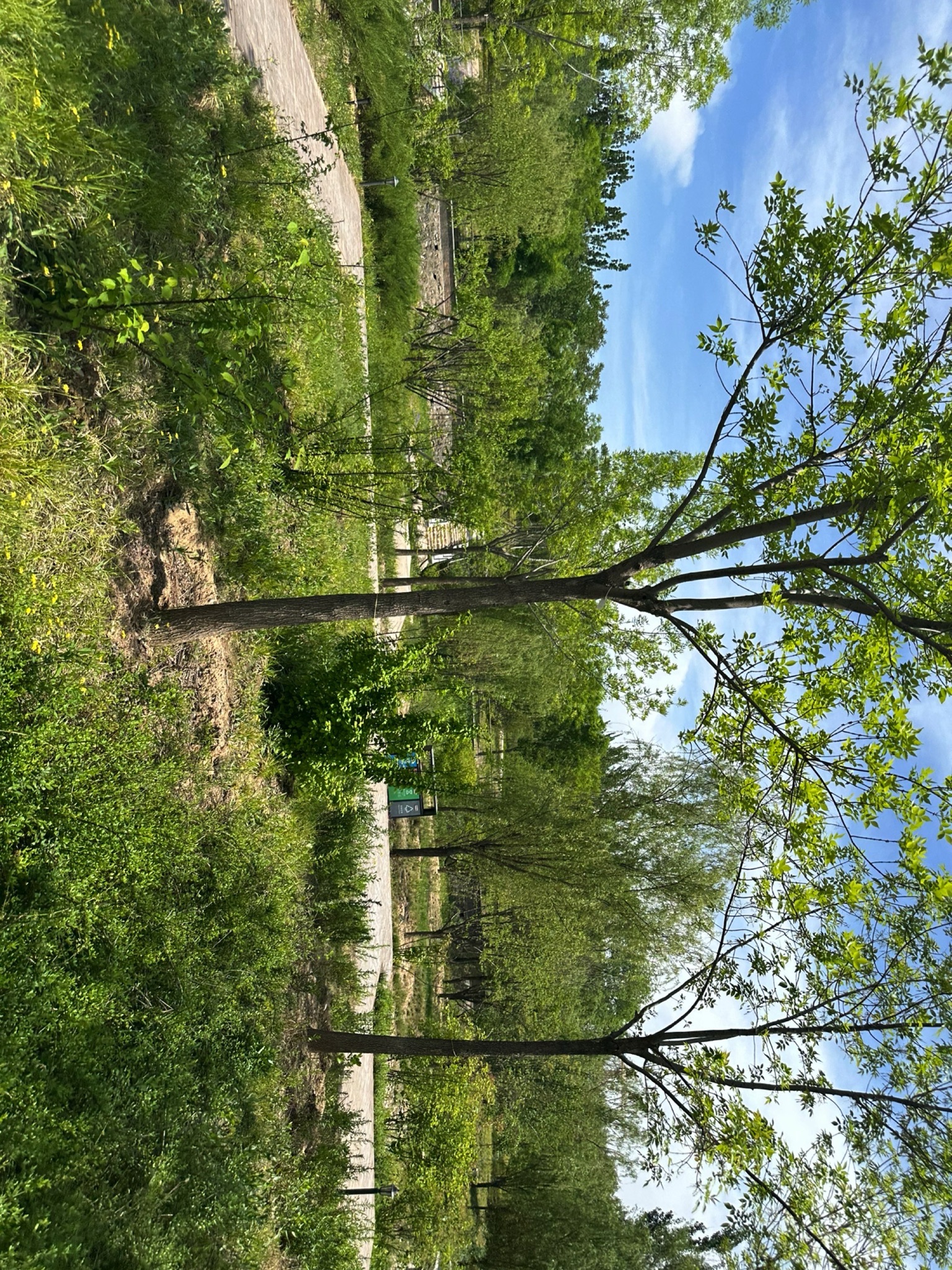 辛庄公园旅行图片 1